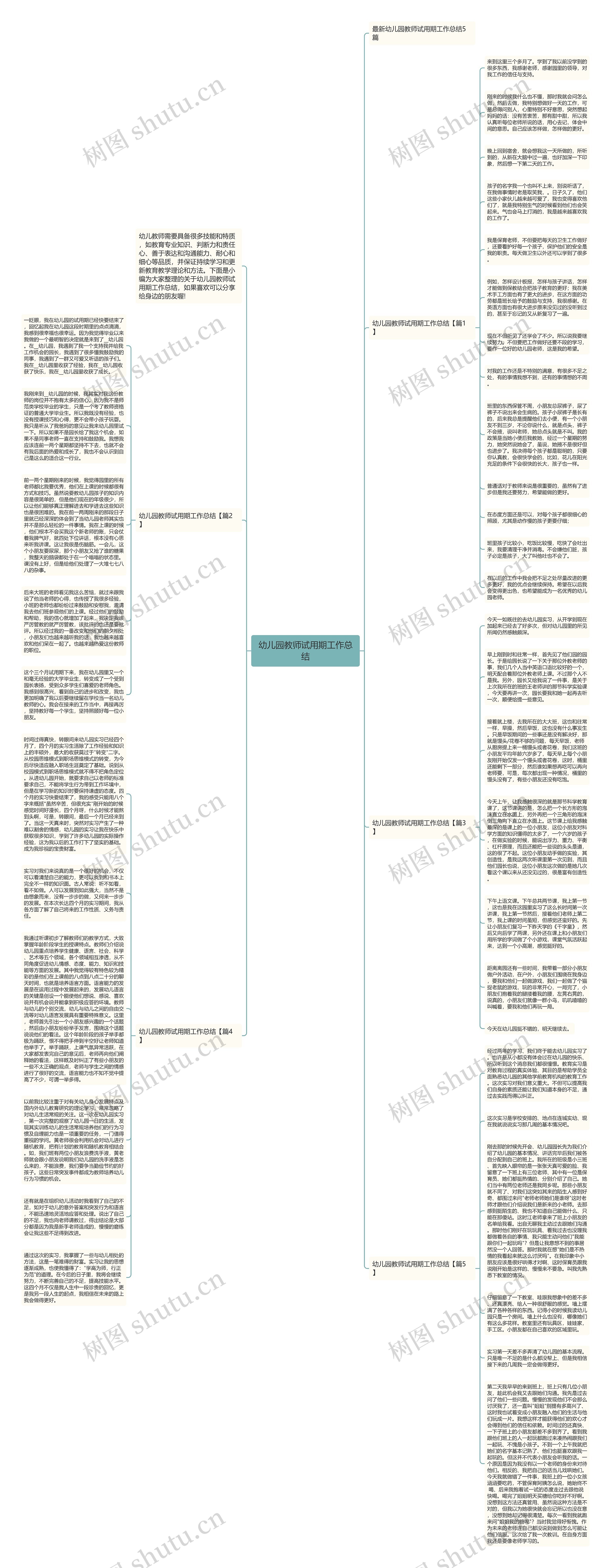 幼儿园教师试用期工作总结思维导图