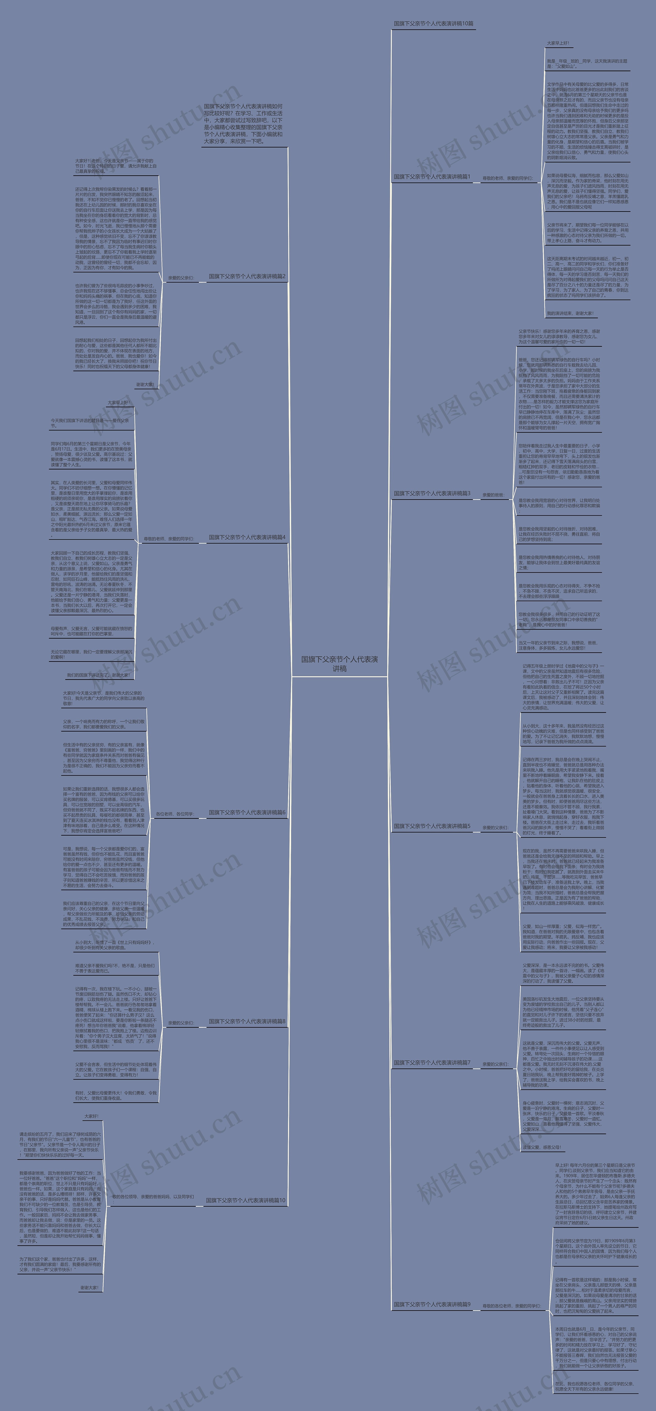国旗下父亲节个人代表演讲稿思维导图