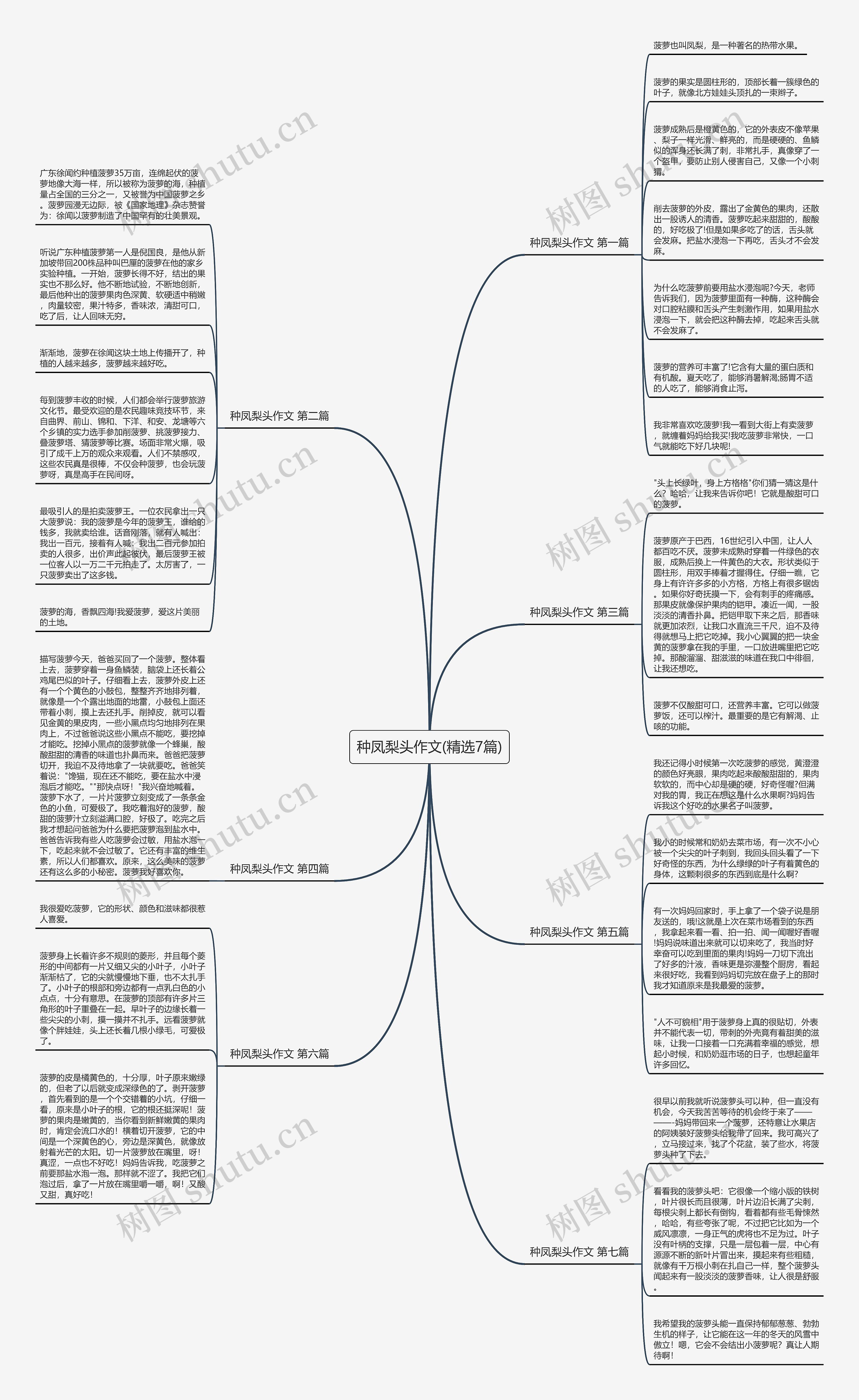 种凤梨头作文(精选7篇)思维导图