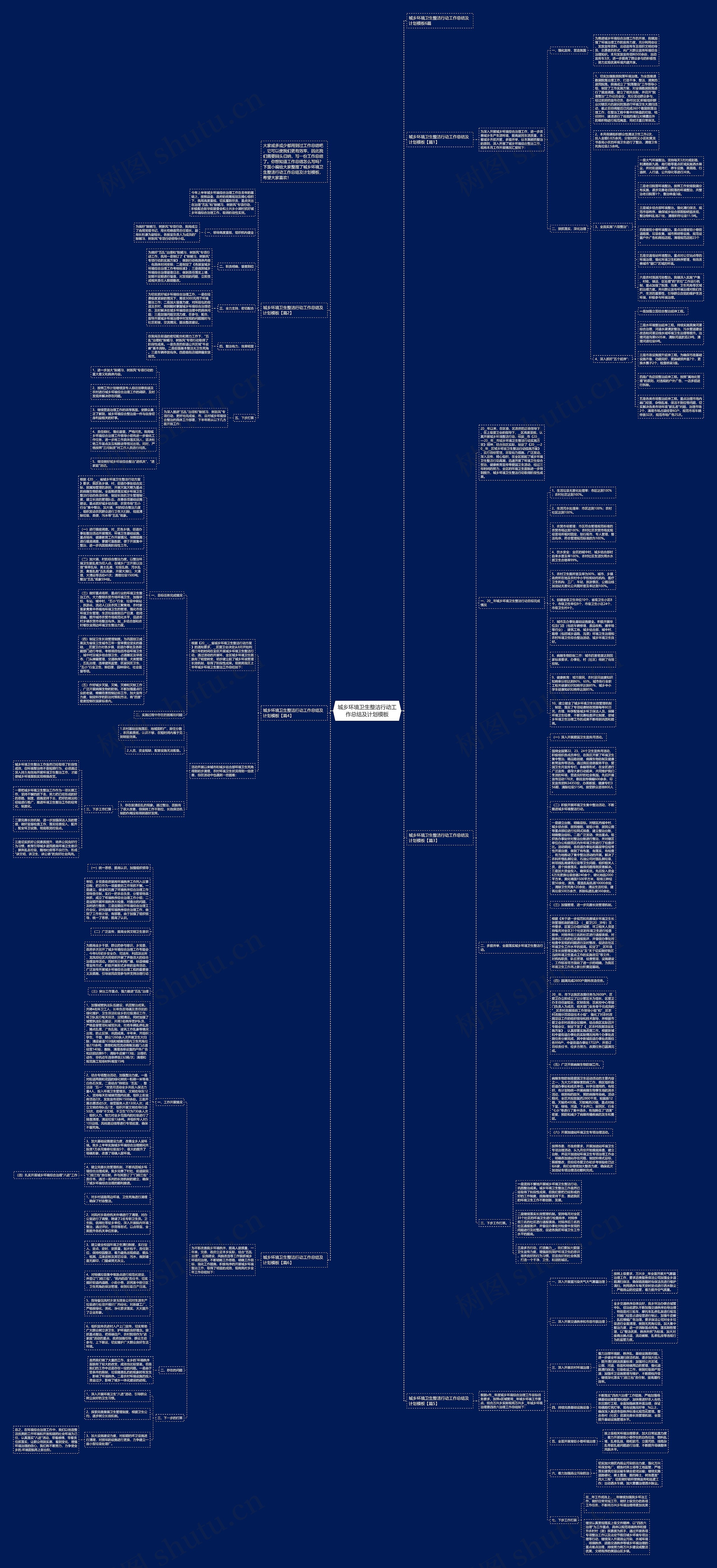 城乡环境卫生整洁行动工作总结及计划思维导图