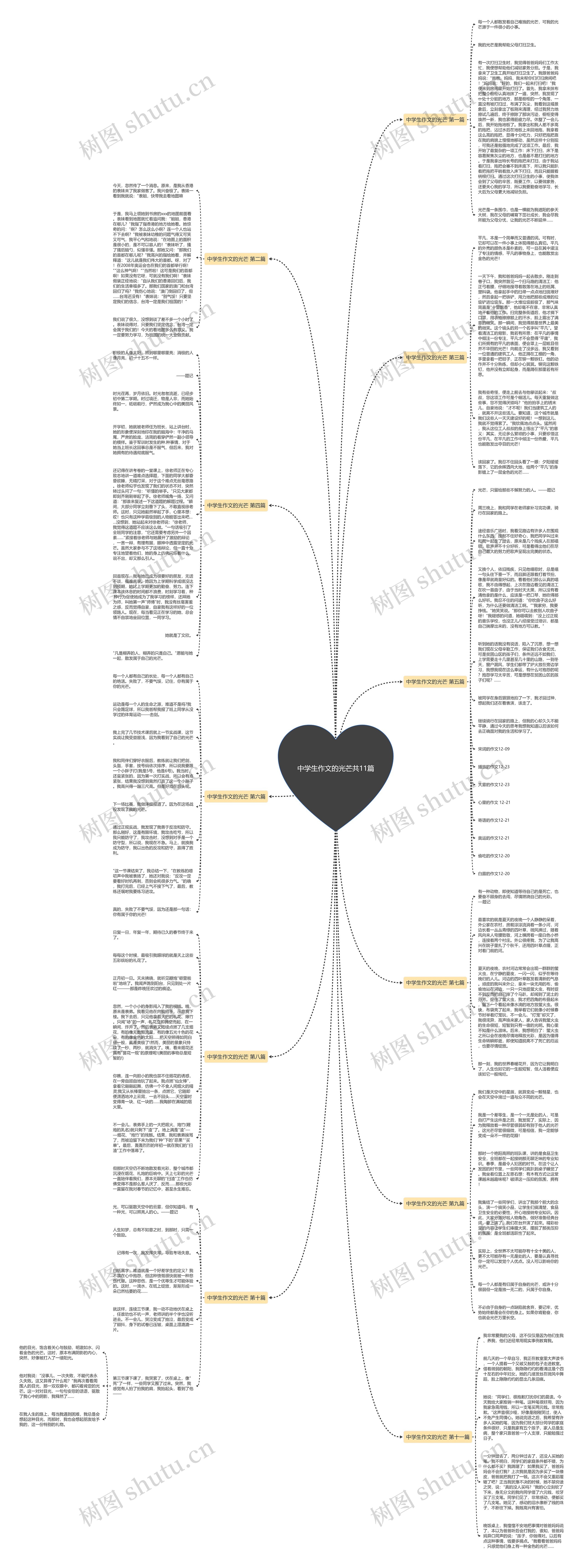 中学生作文的光芒共11篇思维导图