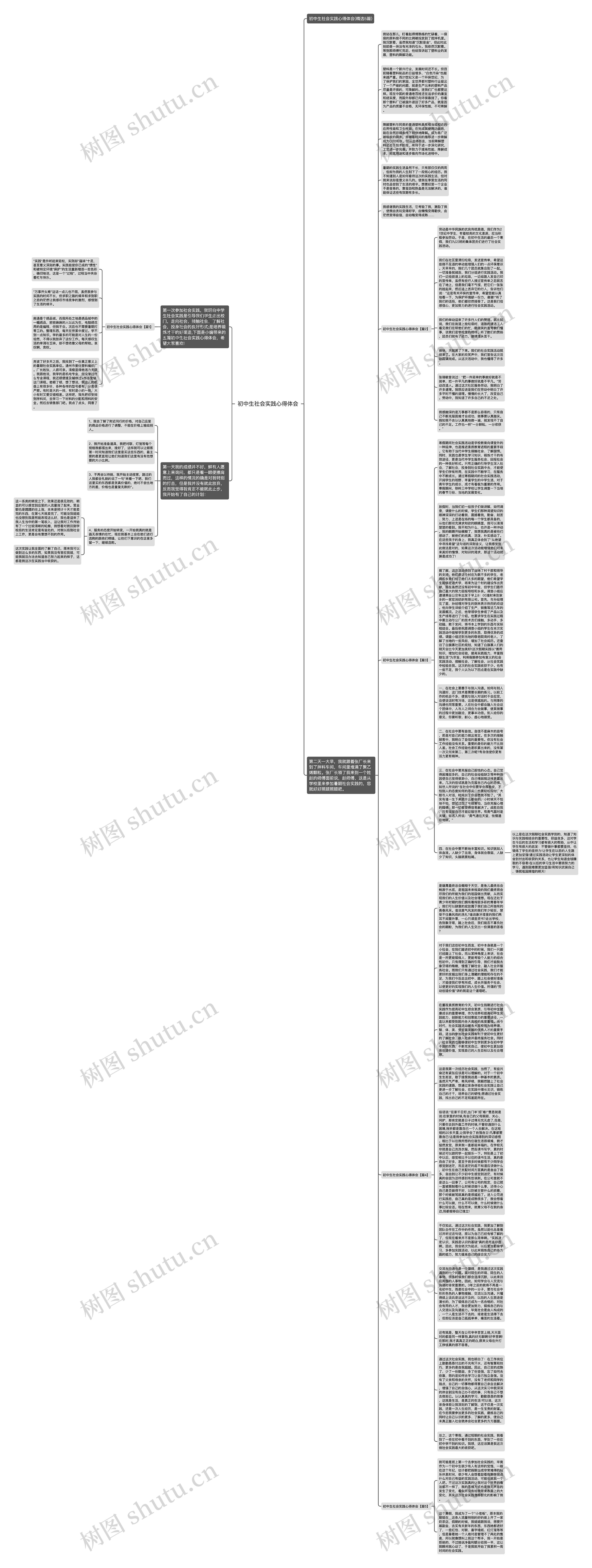 初中生社会实践心得体会思维导图