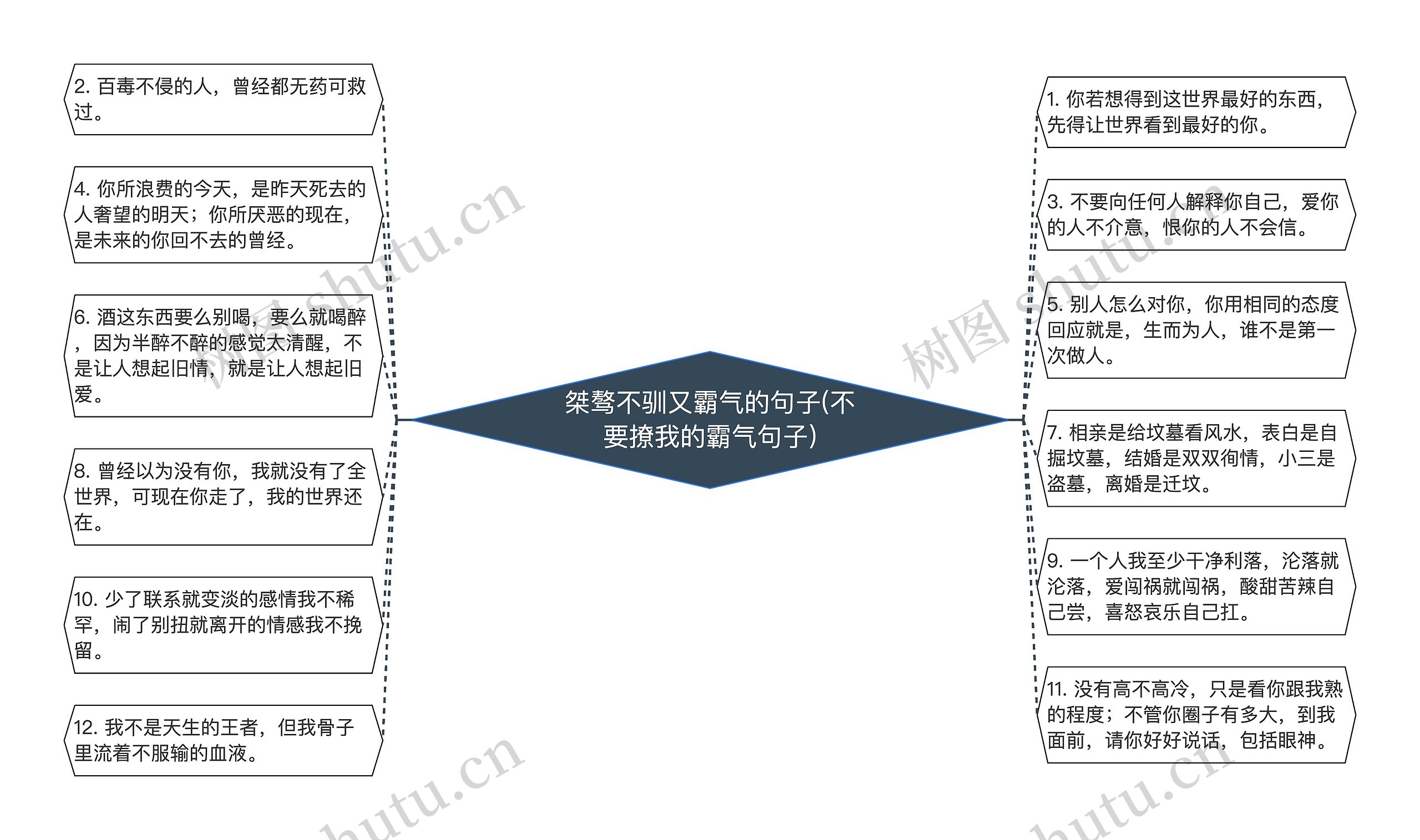 桀骜不驯又霸气的句子(不要撩我的霸气句子)