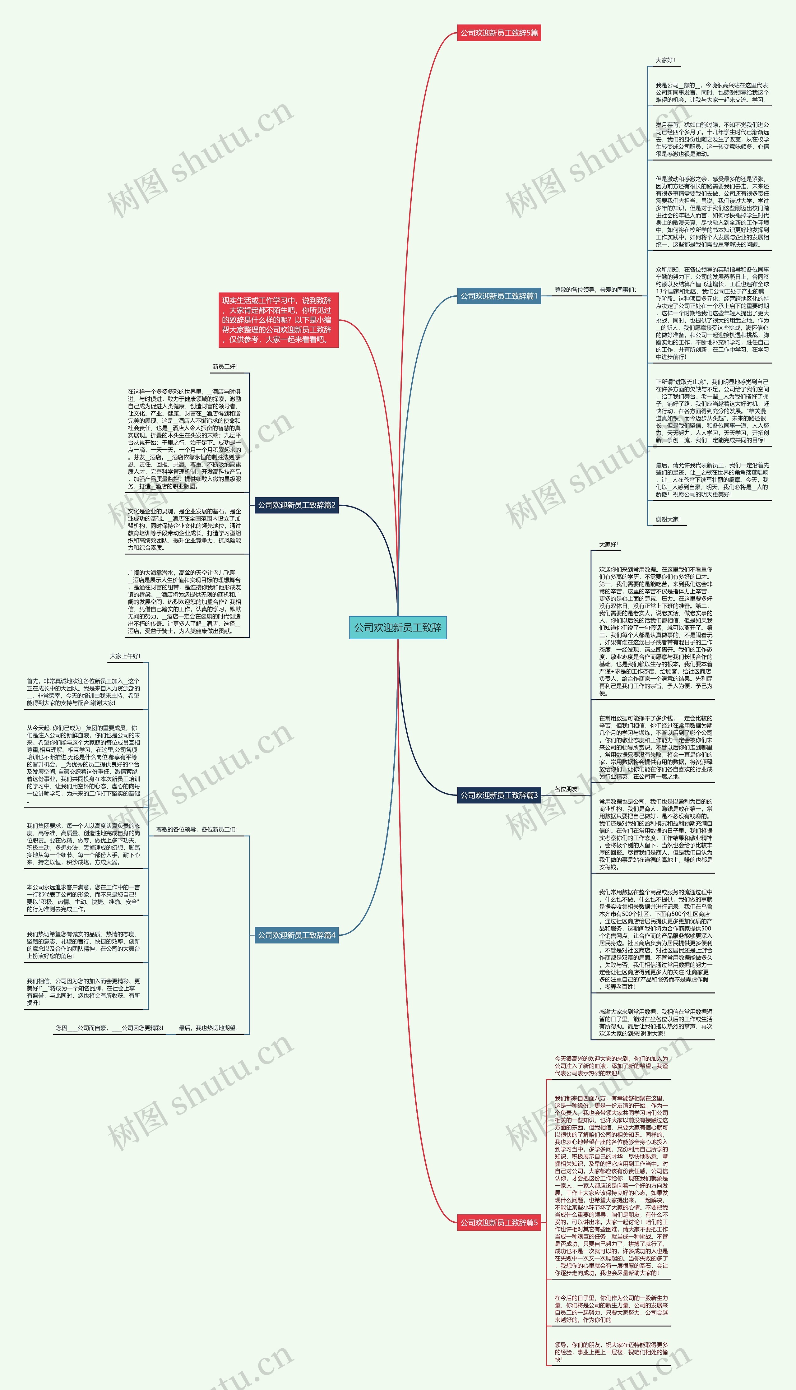公司欢迎新员工致辞思维导图