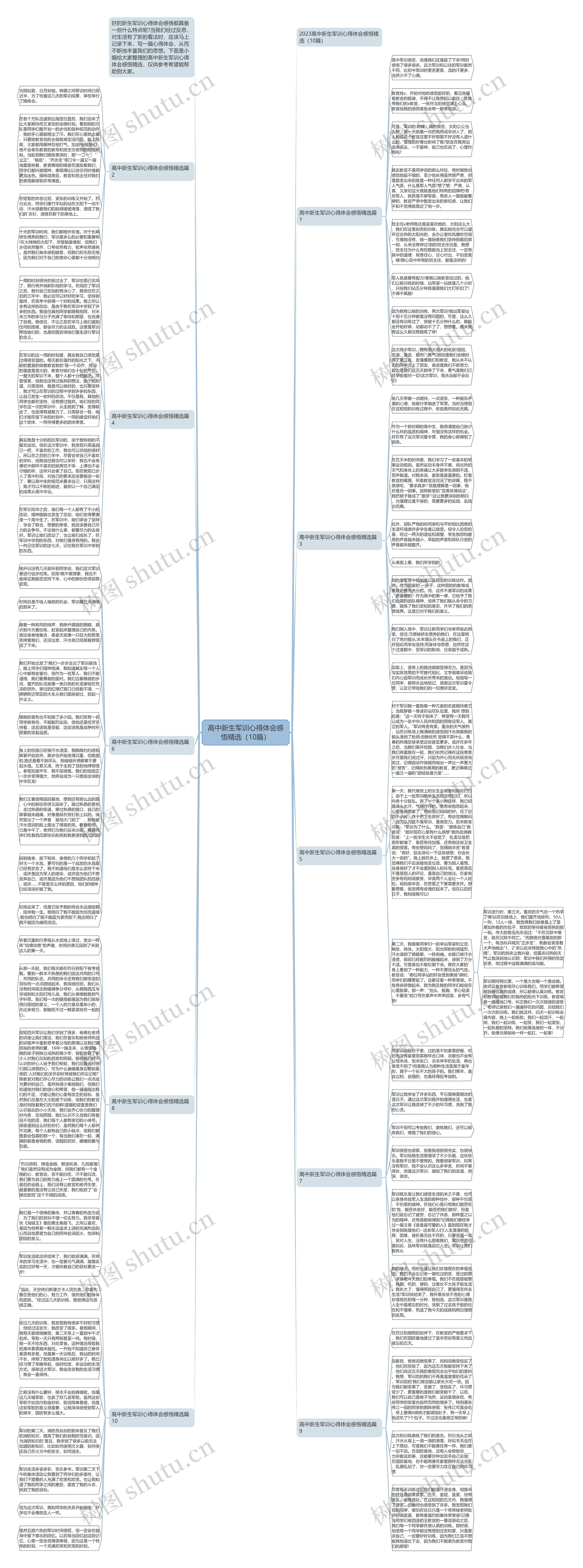 高中新生军训心得体会感悟精选（10篇）思维导图