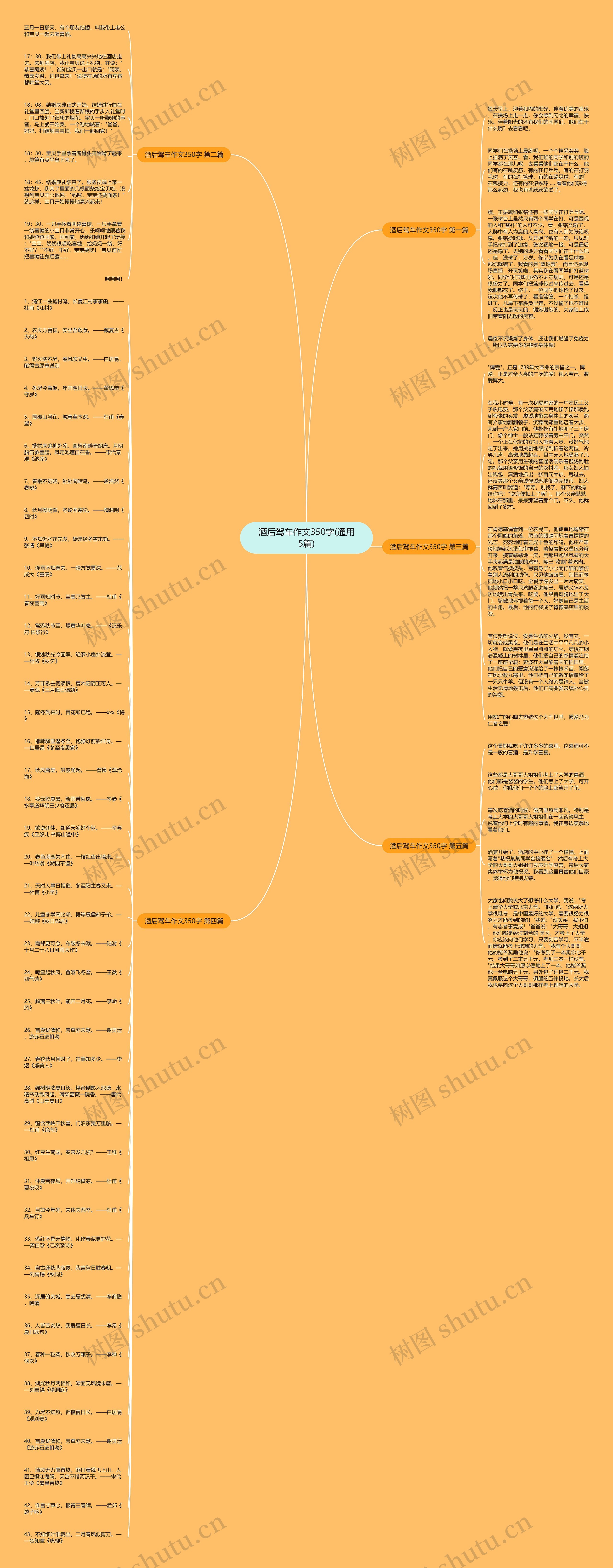 酒后驾车作文350字(通用5篇)思维导图