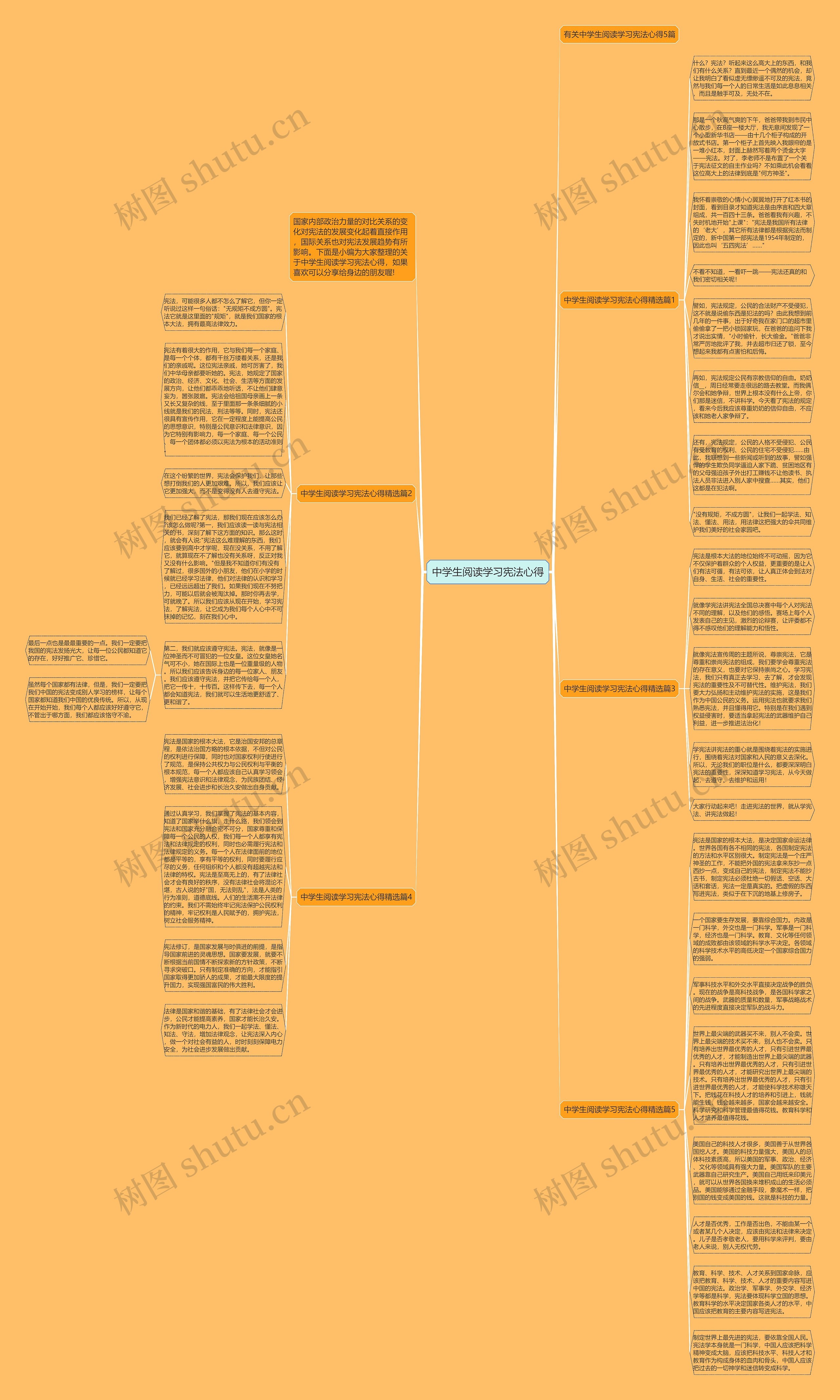 中学生阅读学习宪法心得思维导图