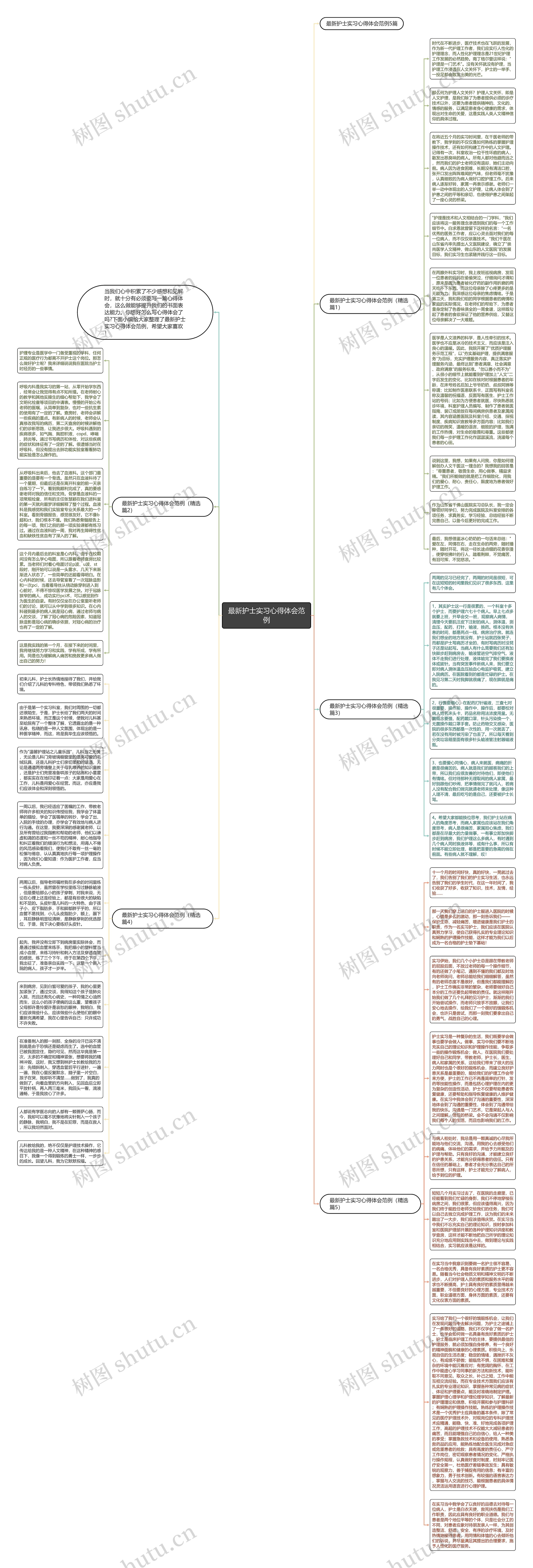 最新护士实习心得体会范例思维导图