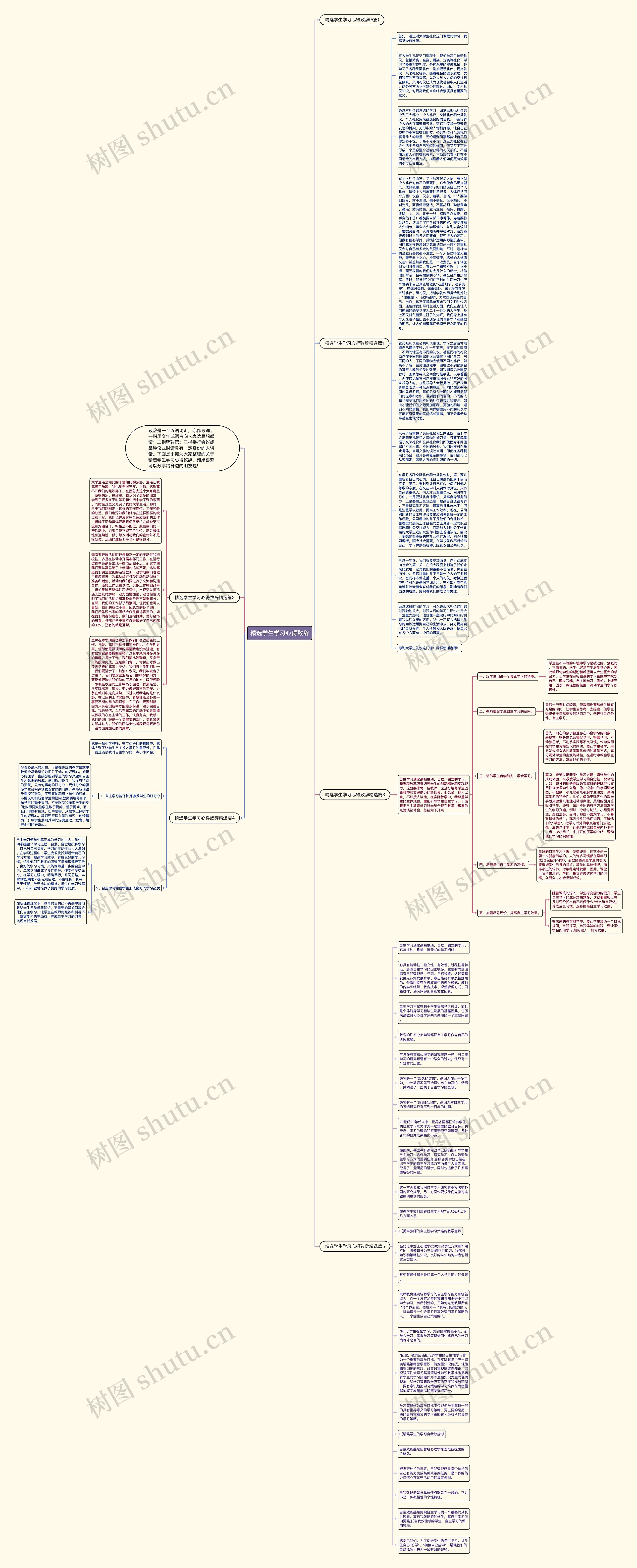 精选学生学习心得致辞思维导图