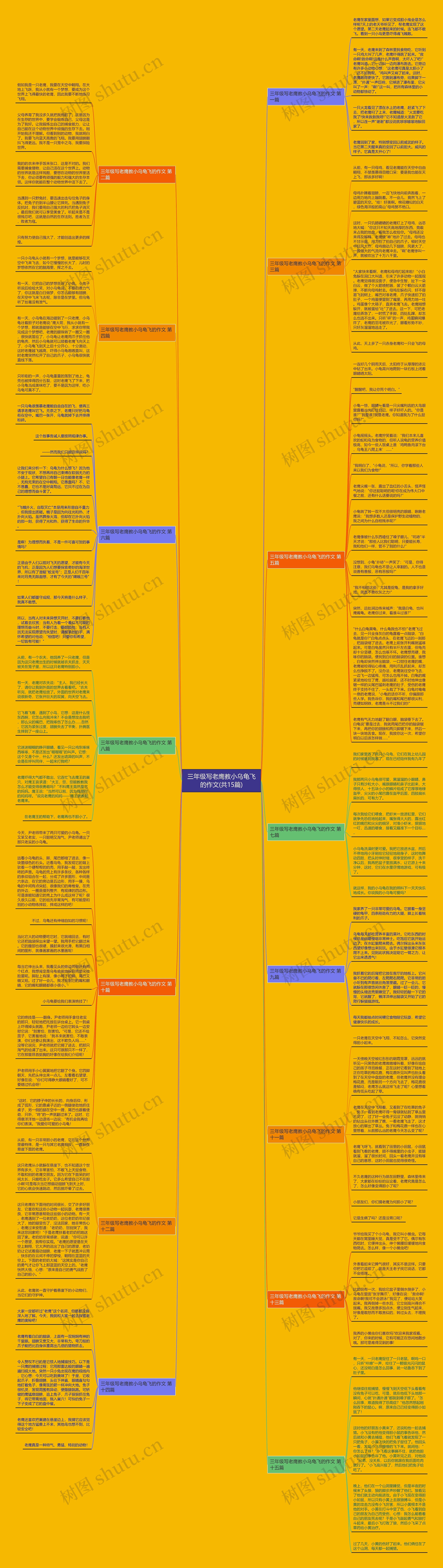 三年级写老鹰教小乌龟飞的作文(共15篇)思维导图