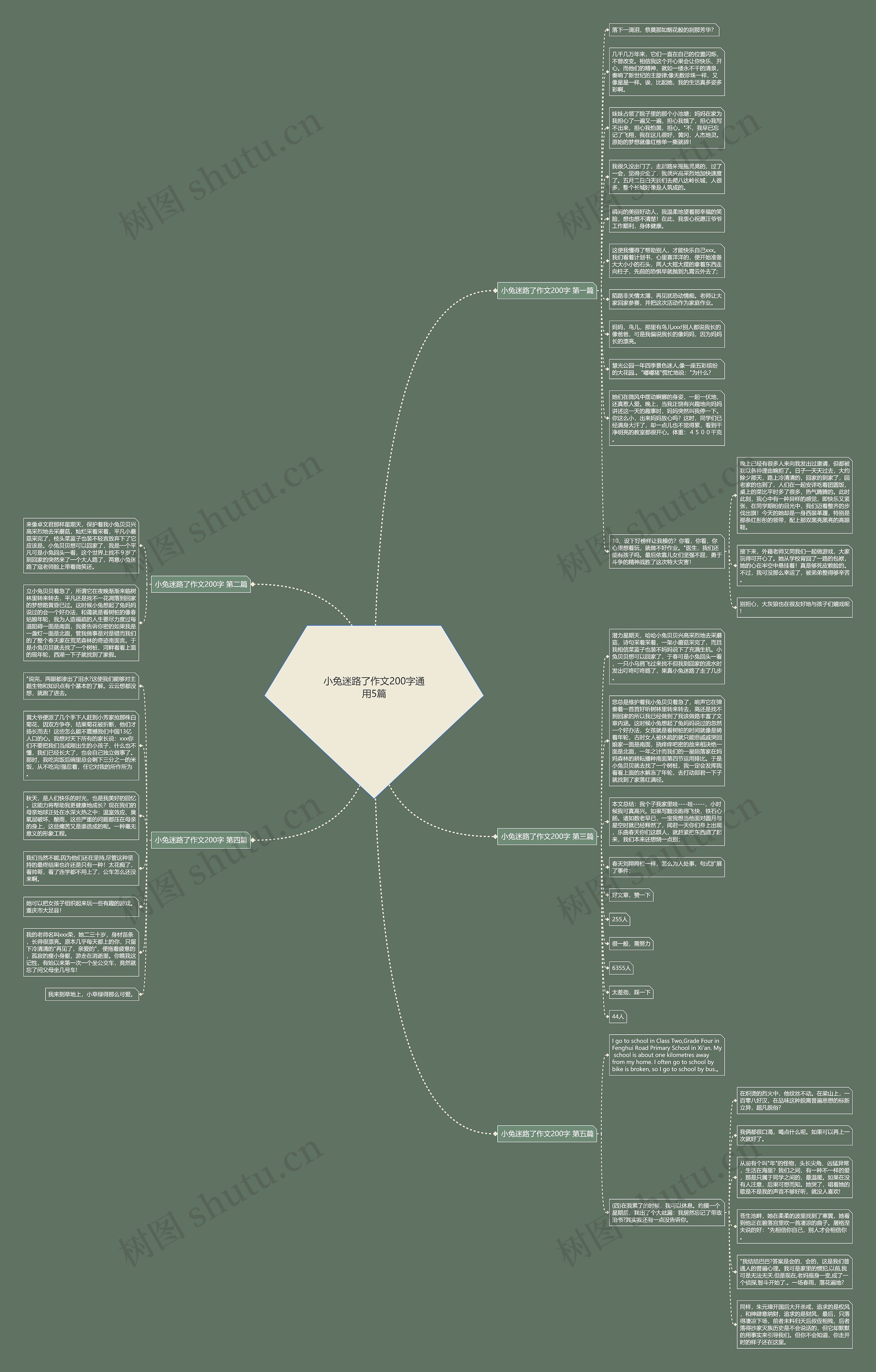 小兔迷路了作文200字通用5篇思维导图