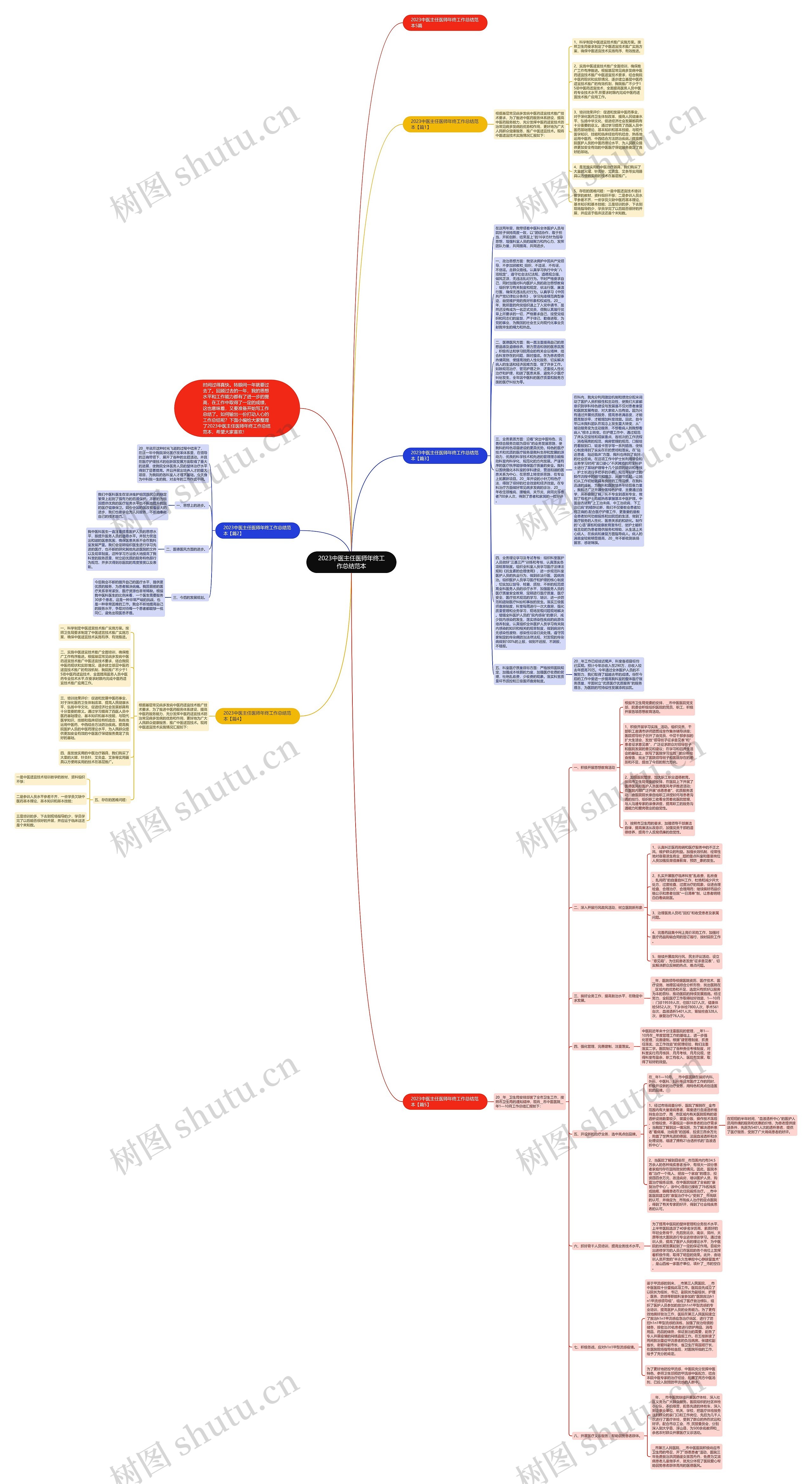 2023中医主任医师年终工作总结范本思维导图