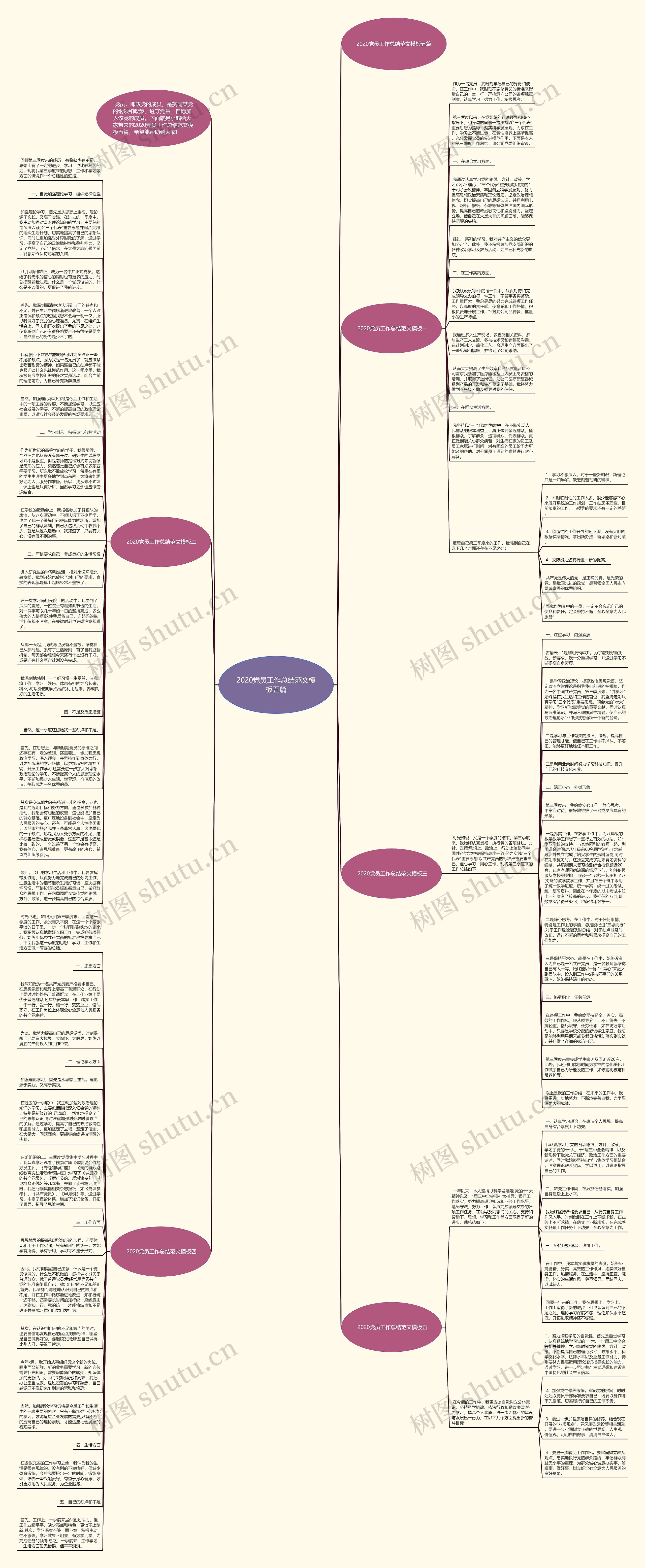 2020党员工作总结范文五篇思维导图