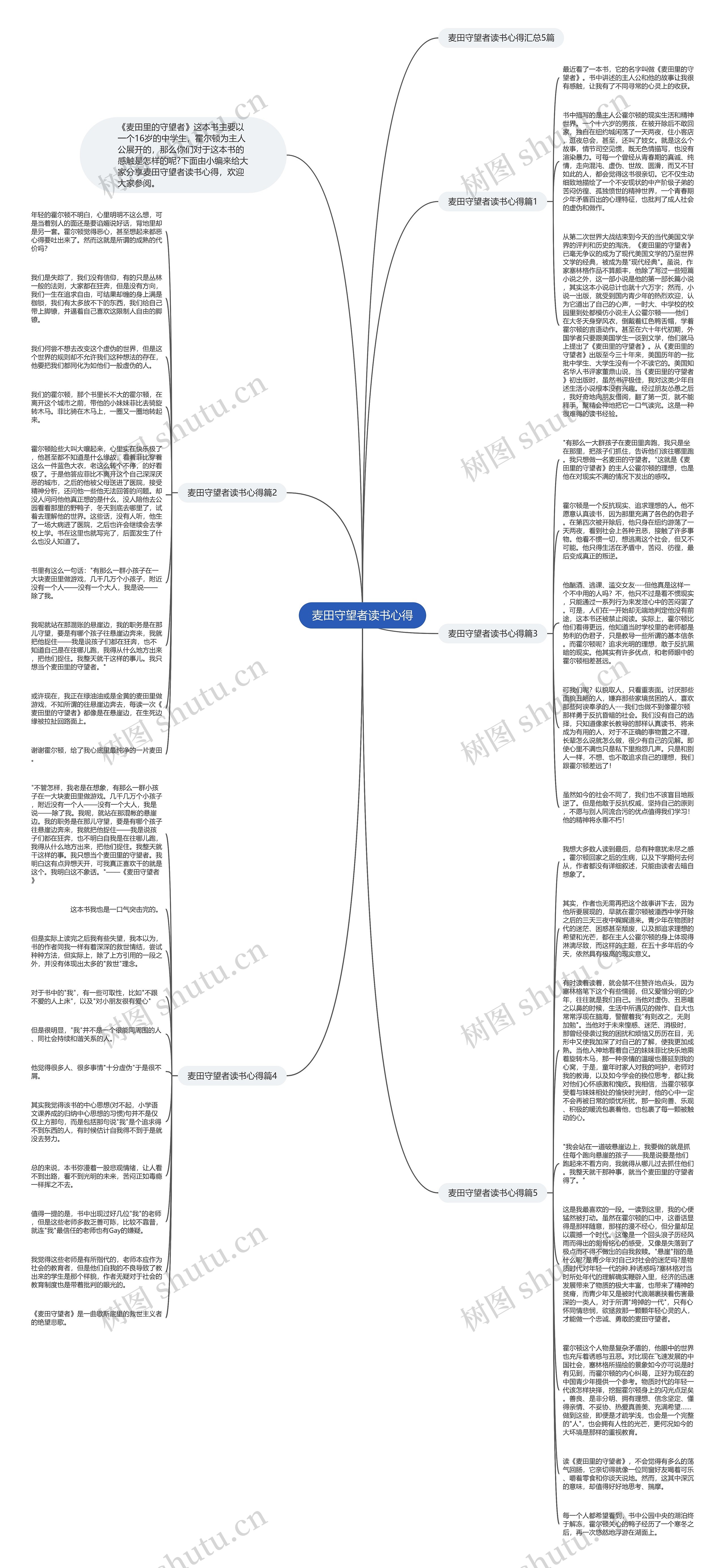 麦田守望者读书心得思维导图