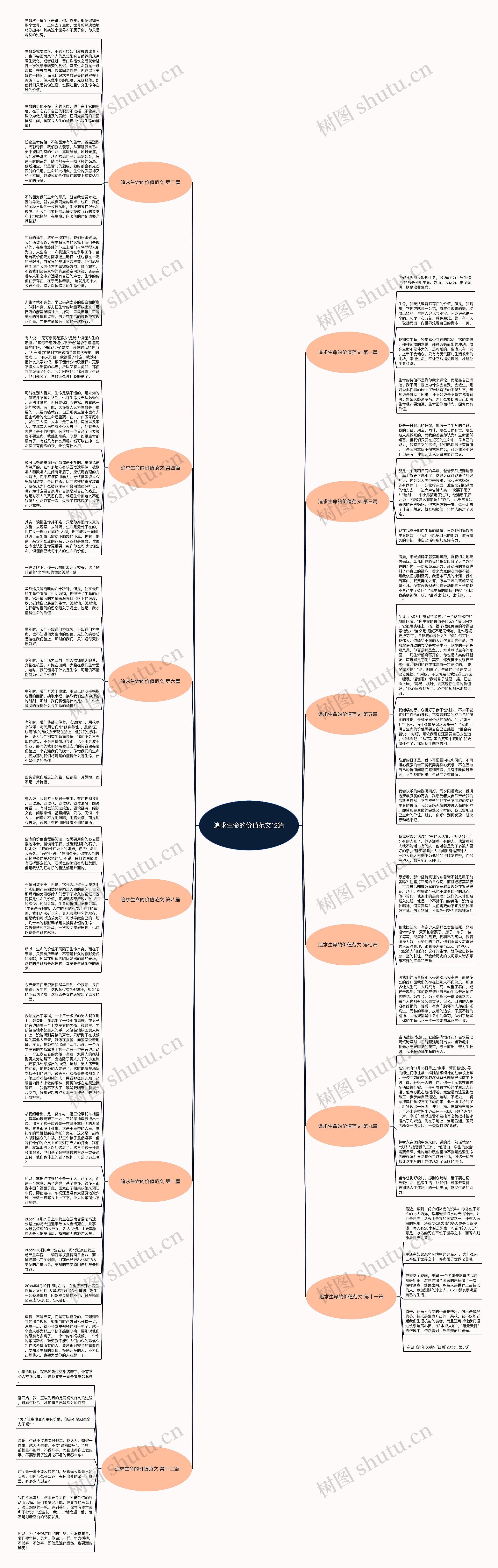 追求生命的价值范文12篇思维导图
