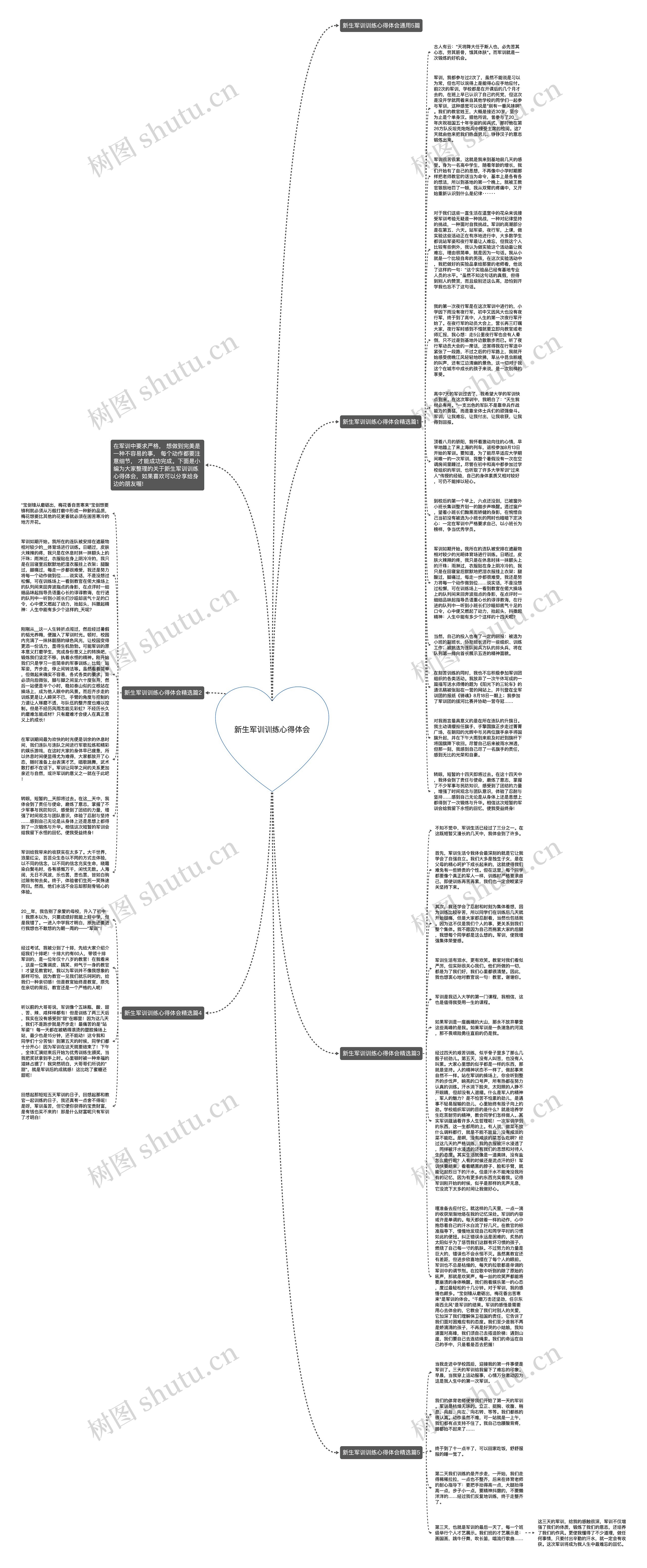 新生军训训练心得体会思维导图