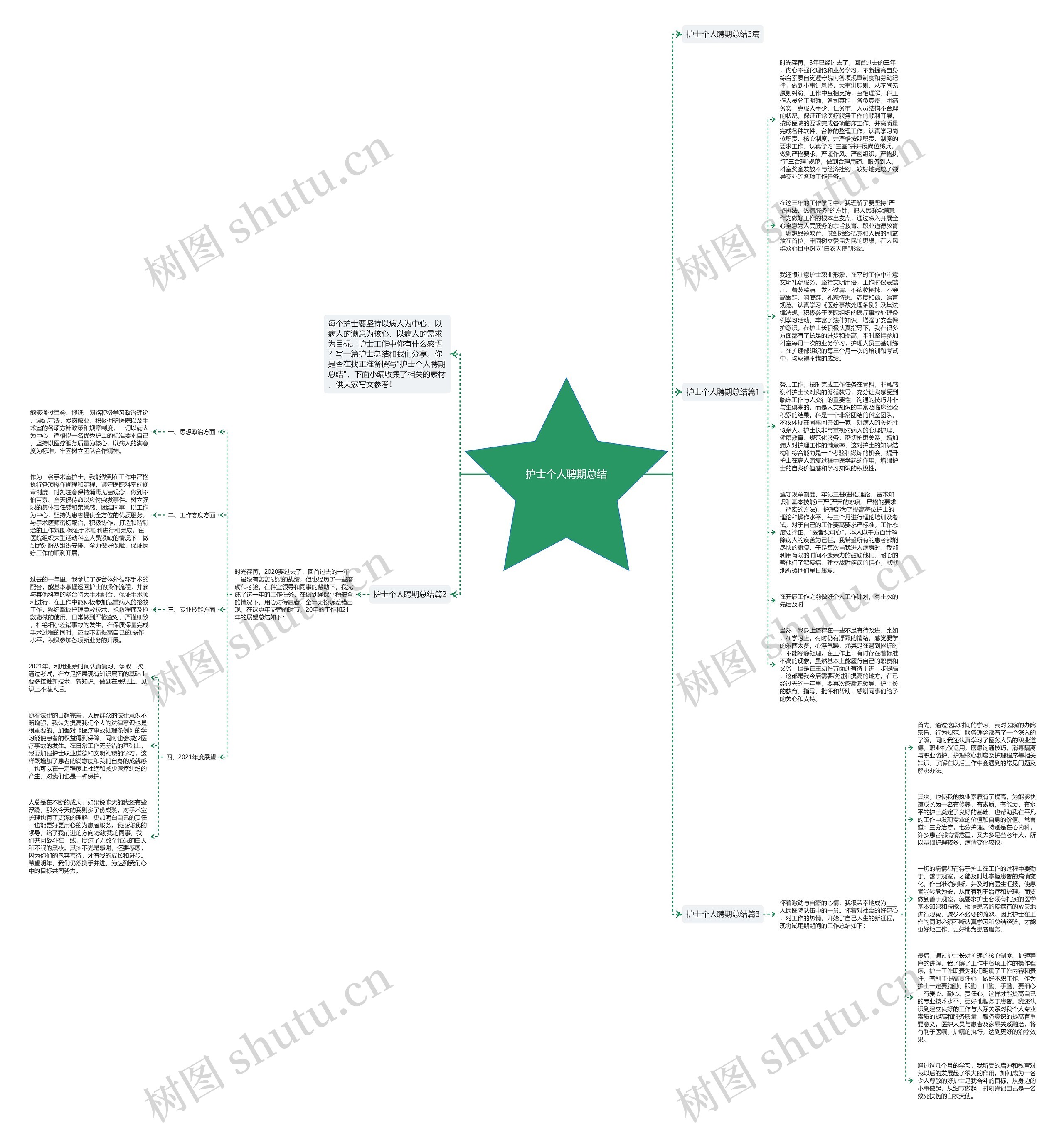 护士个人聘期总结思维导图