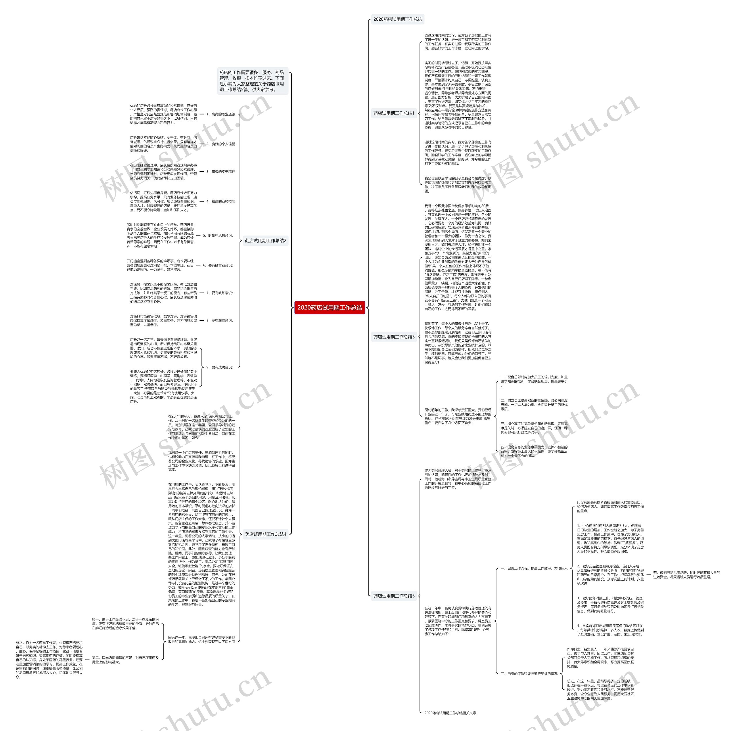2020药店试用期工作总结思维导图