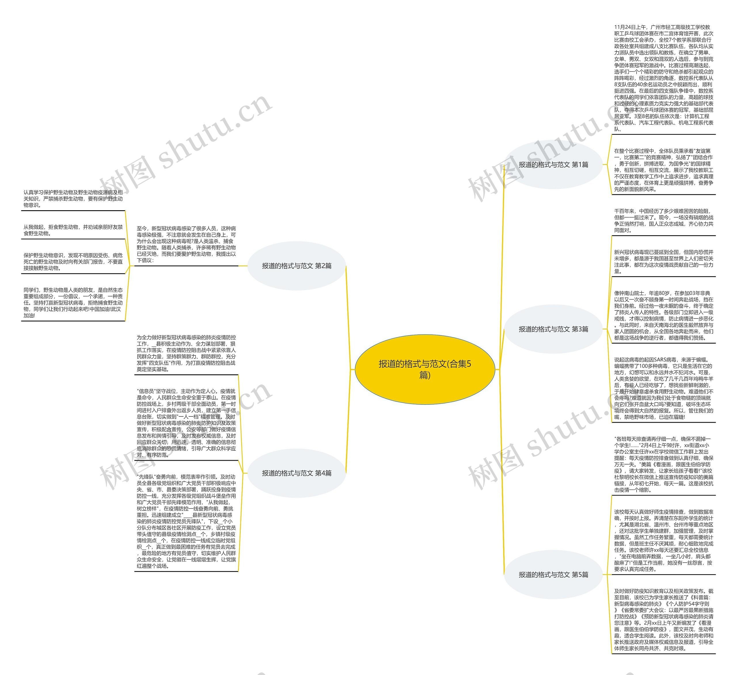 报道的格式与范文(合集5篇)思维导图