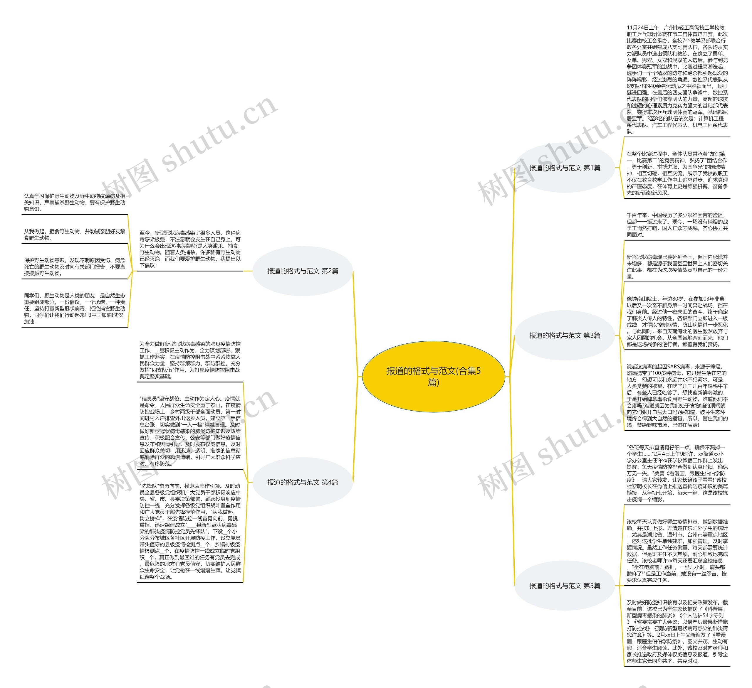 报道的格式与范文(合集5篇) 报道的格式与范文(合集5篇)
