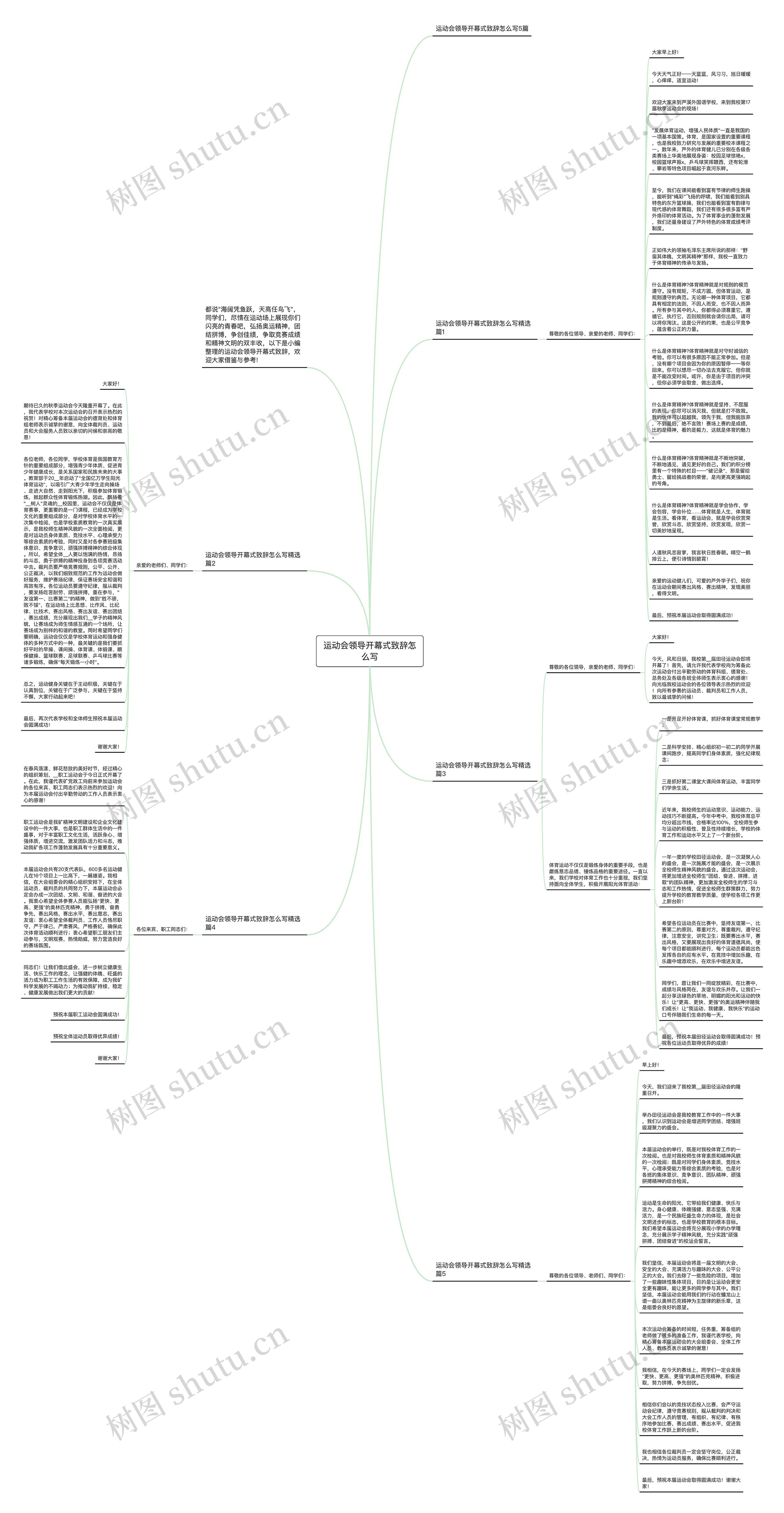 运动会领导开幕式致辞怎么写思维导图