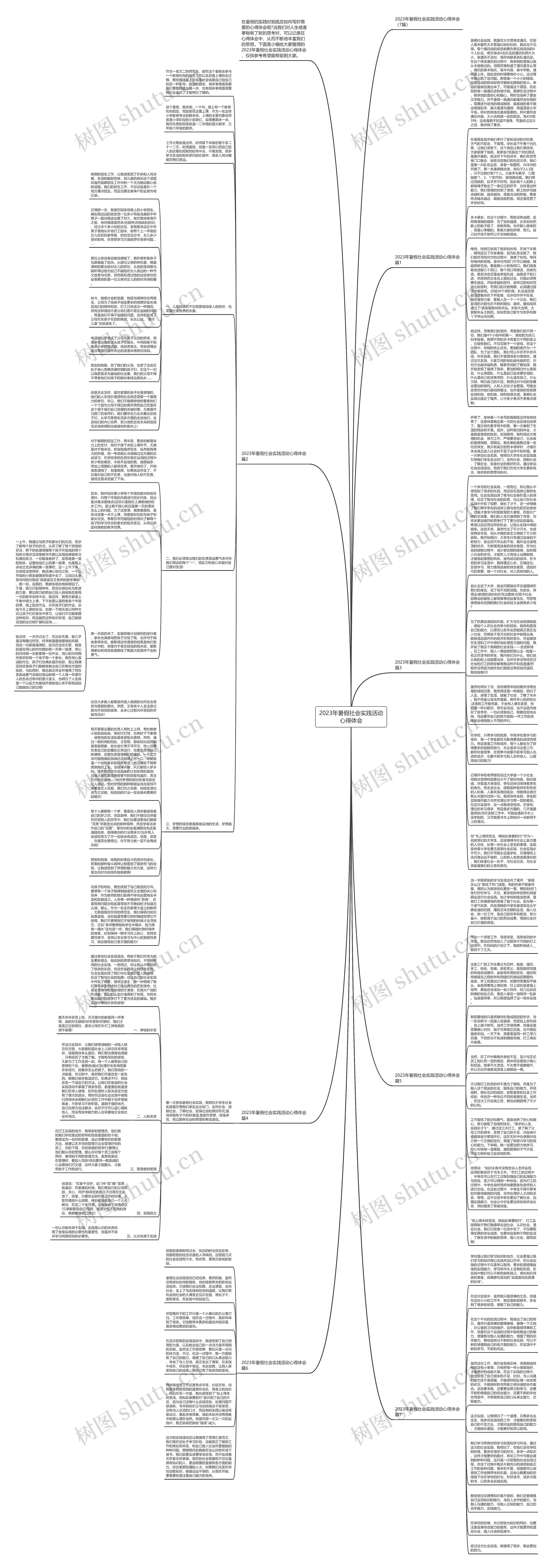 2023年暑假社会实践活动心得体会思维导图