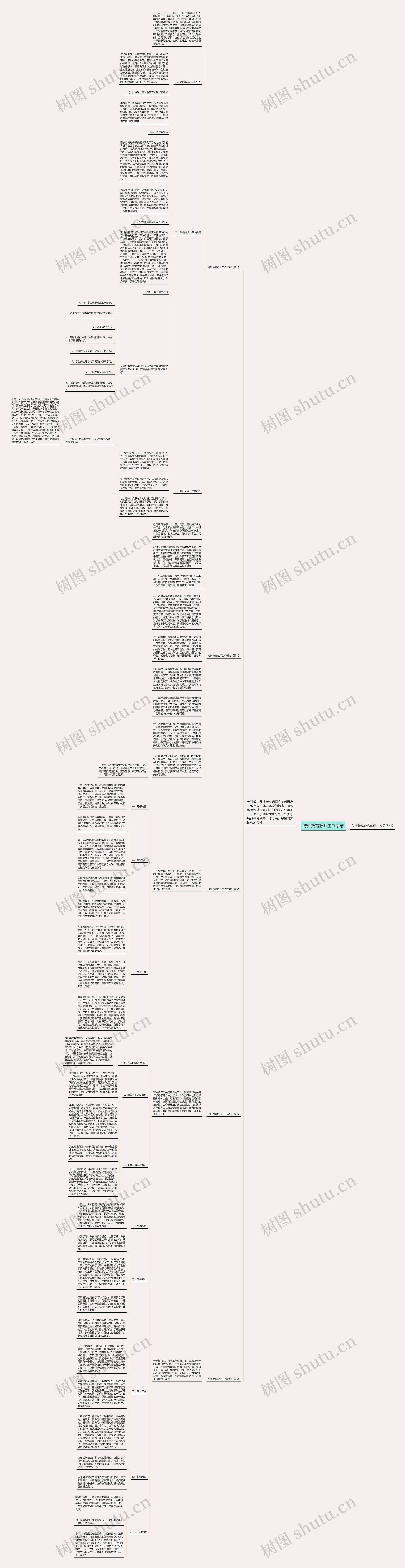 特殊教育教师工作总结思维导图