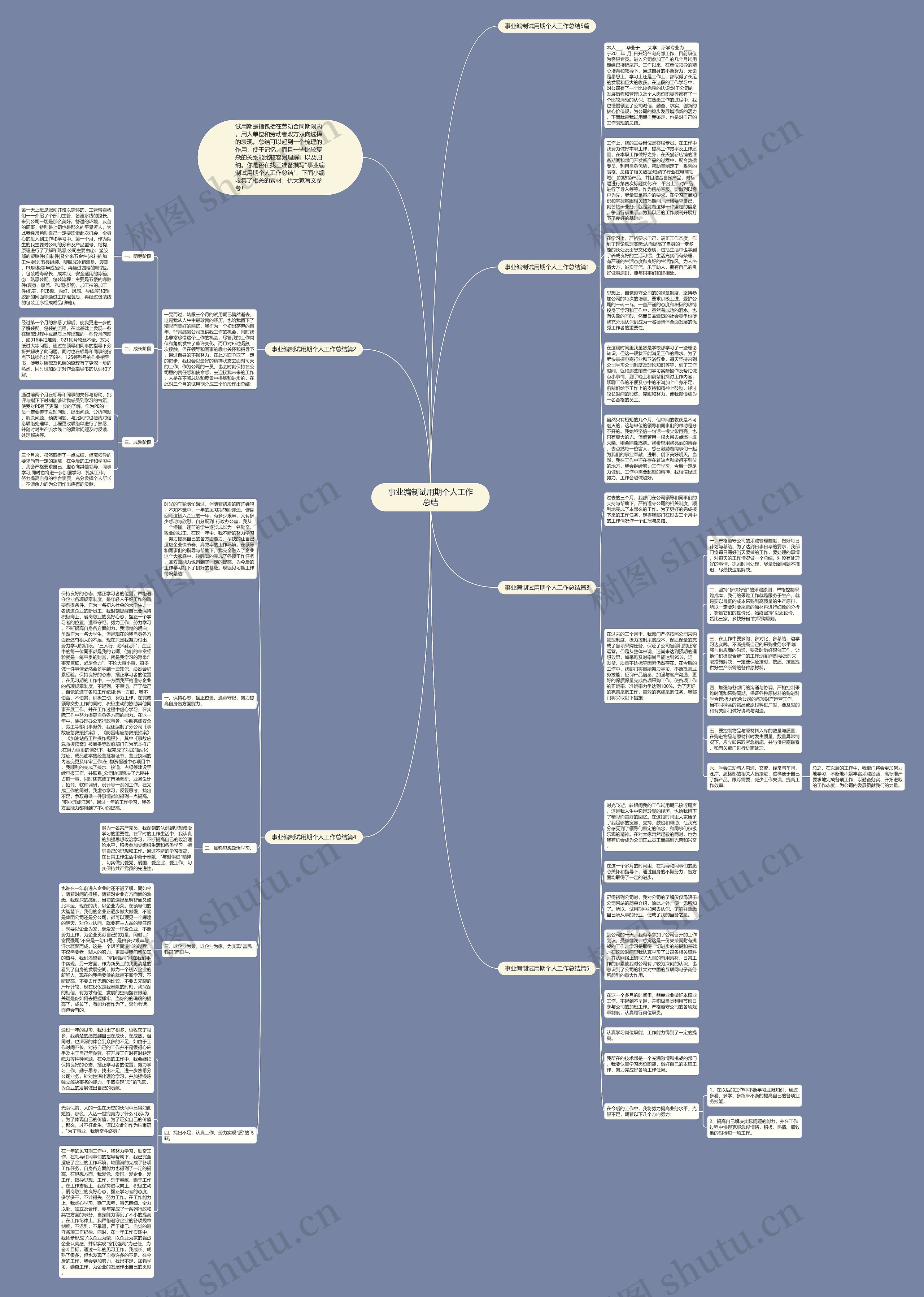 事业编制试用期个人工作总结思维导图