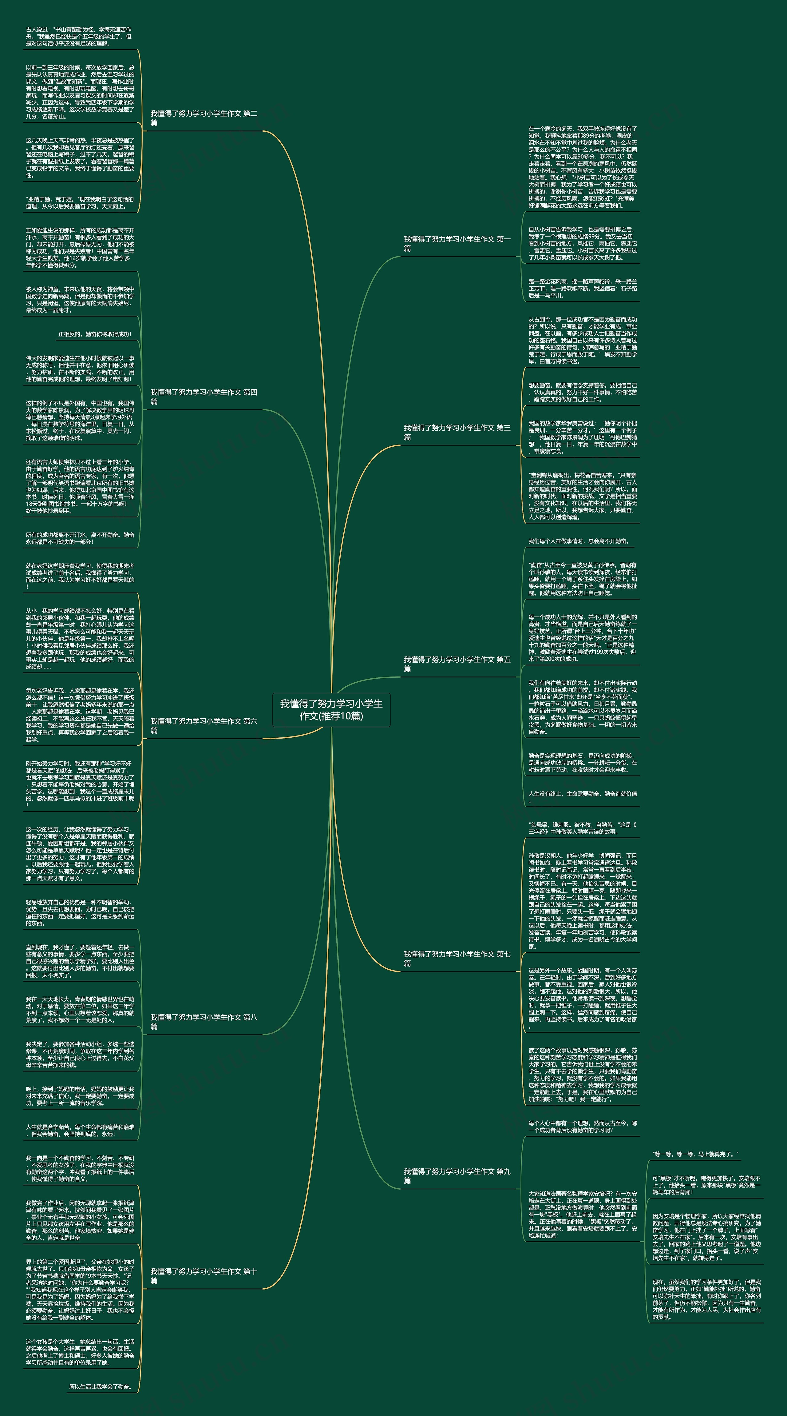 我懂得了努力学习小学生作文(推荐10篇)思维导图
