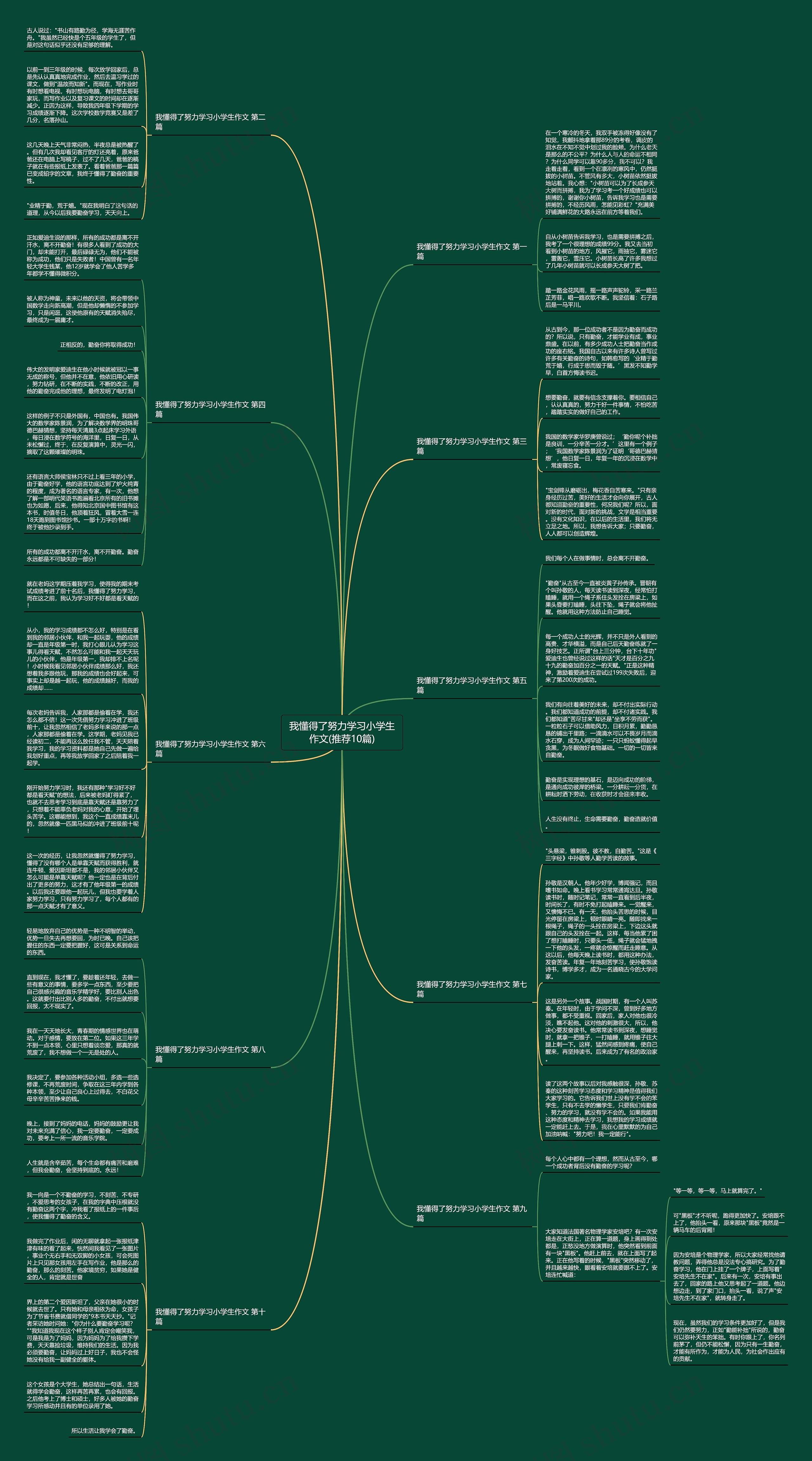 我懂得了努力学习小学生作文(推荐10篇) 我懂得了努力学习小学生作文(推荐10篇)
