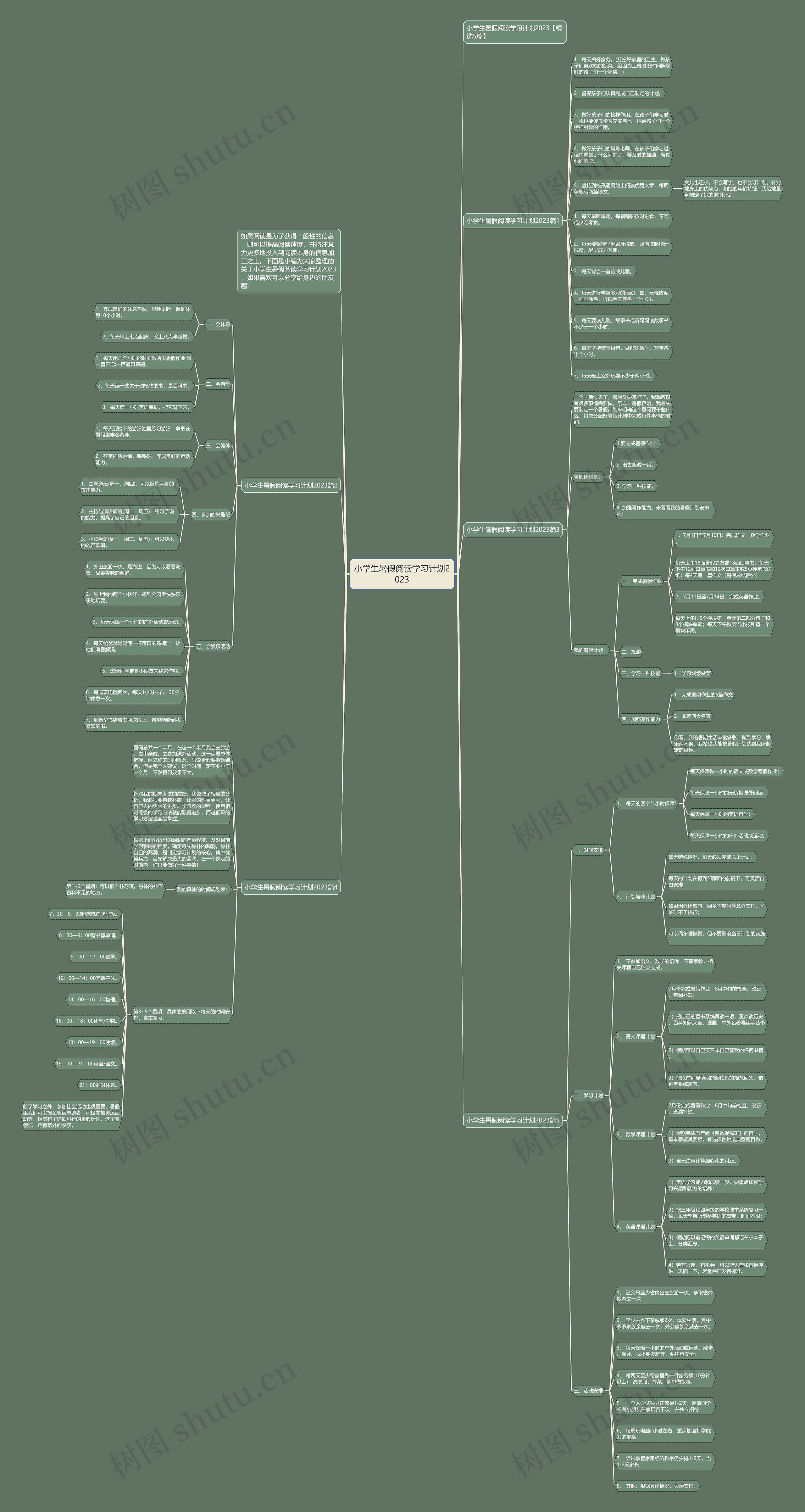 小学生暑假阅读学习计划2023思维导图