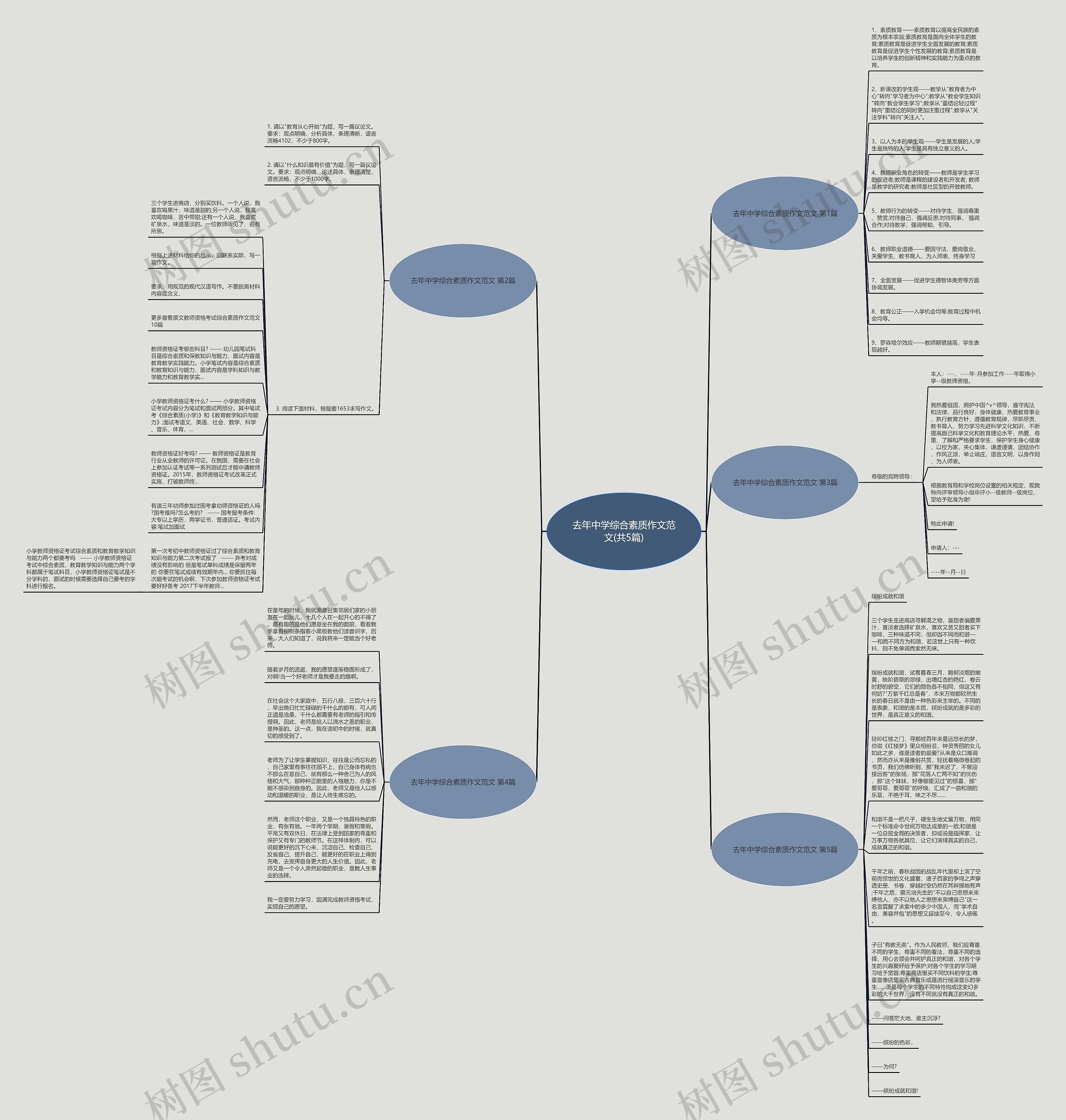 去年中学综合素质作文范文(共5篇)思维导图