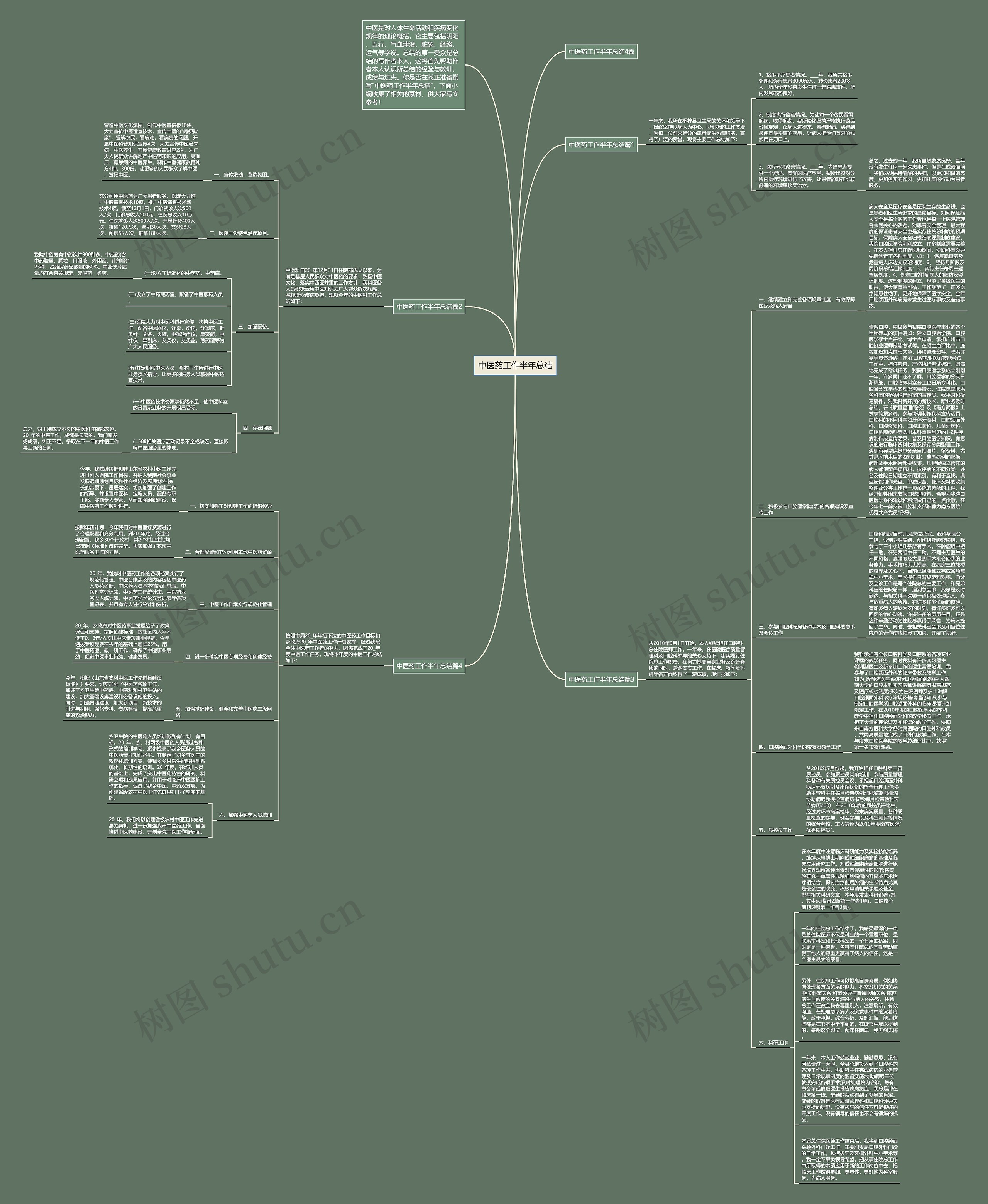 中医药工作半年总结思维导图