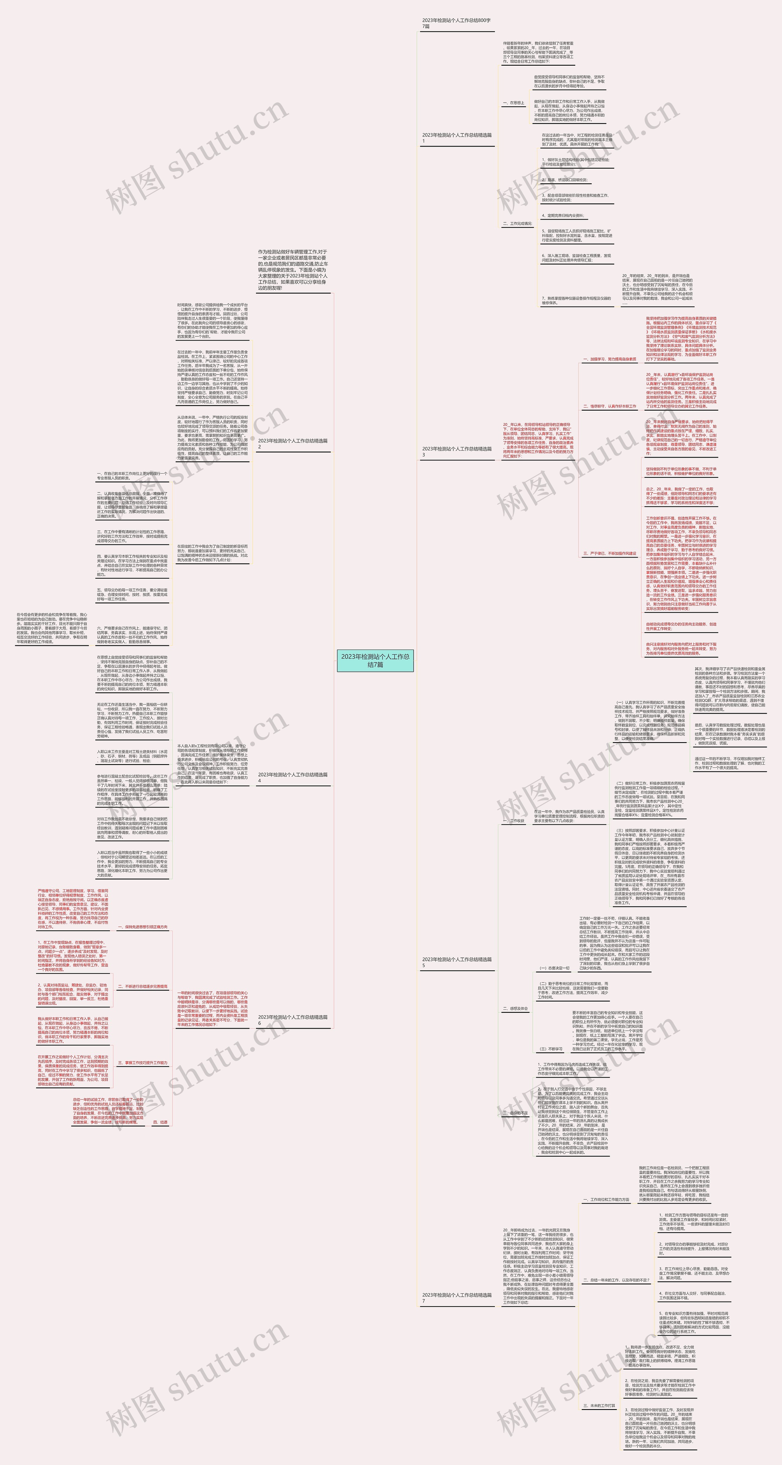 2023年检测站个人工作总结7篇思维导图