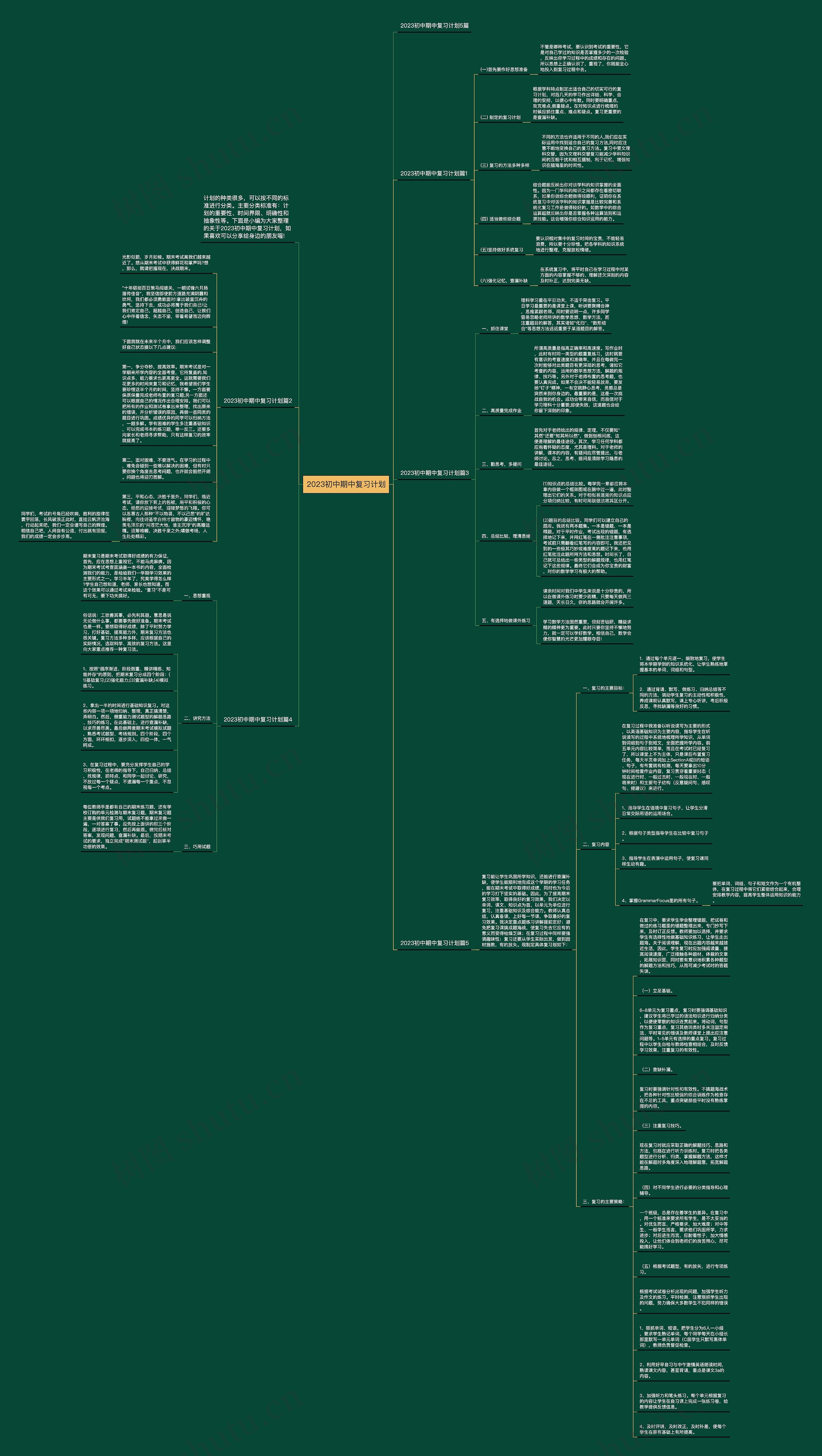 2023初中期中复习计划思维导图
