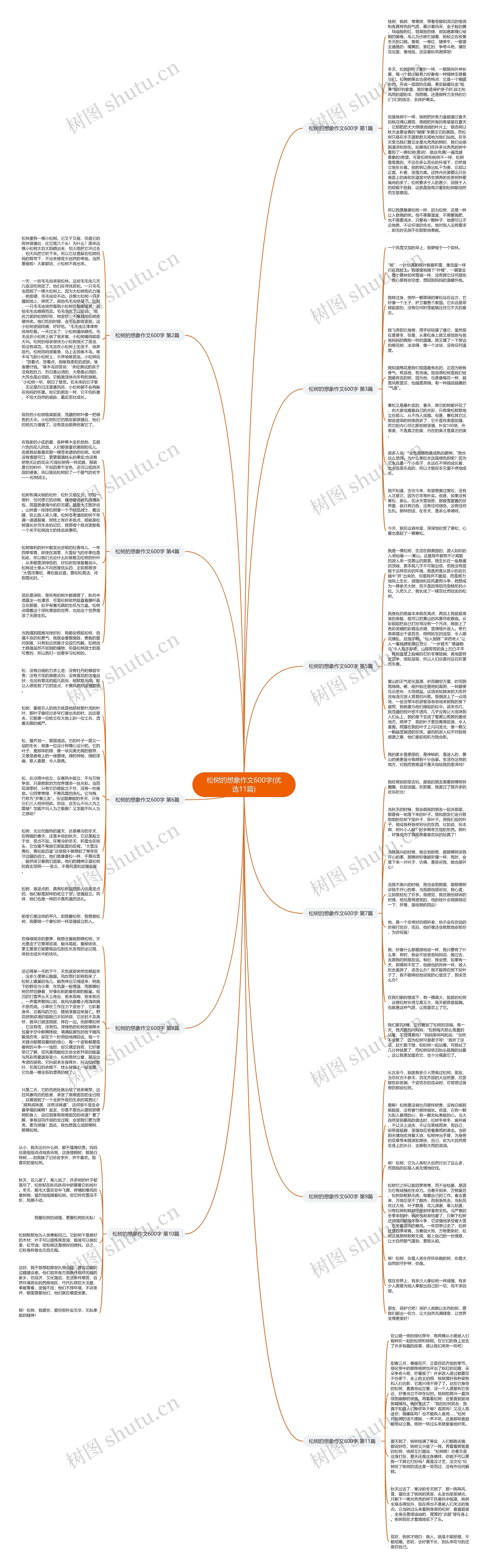 松树的想象作文600字(优选11篇)思维导图