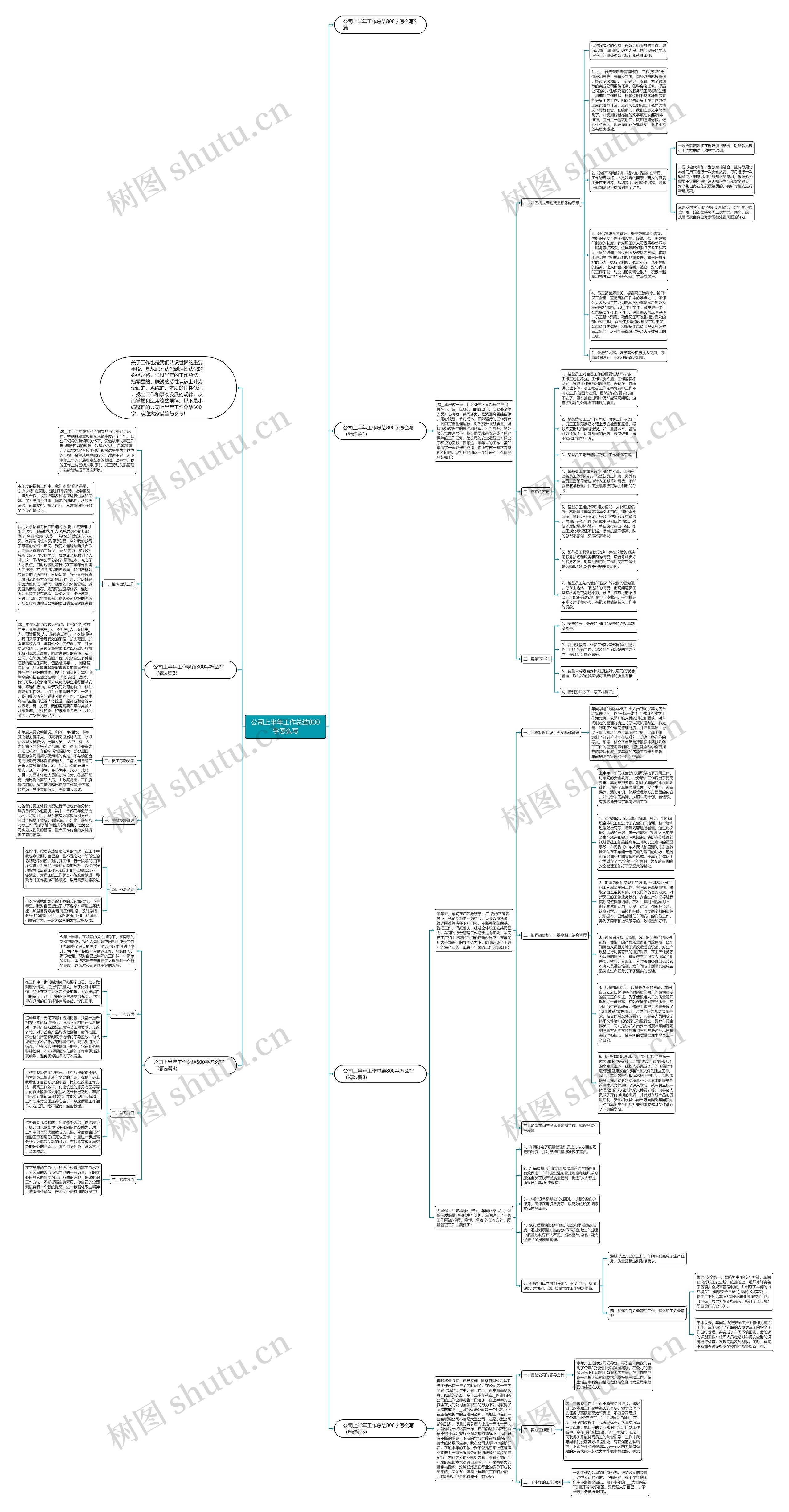 公司上半年工作总结800字怎么写思维导图