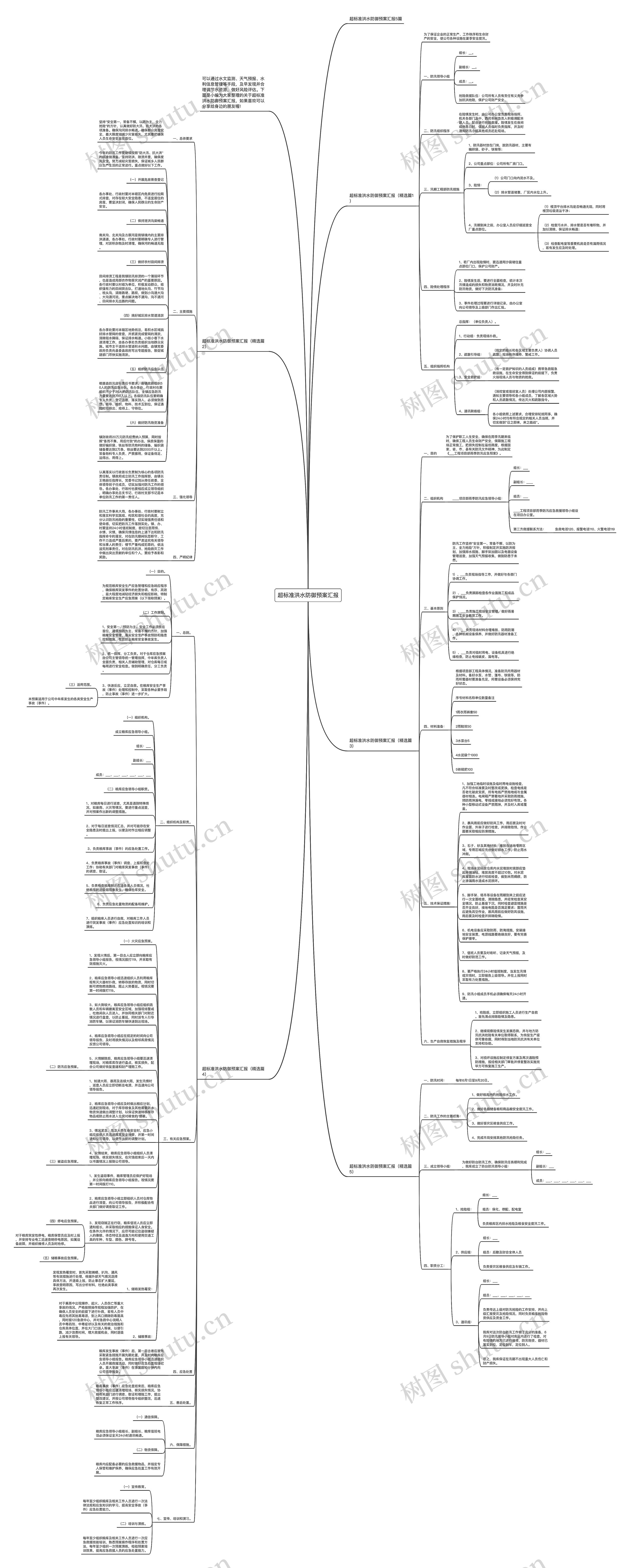 超标准洪水防御预案汇报思维导图