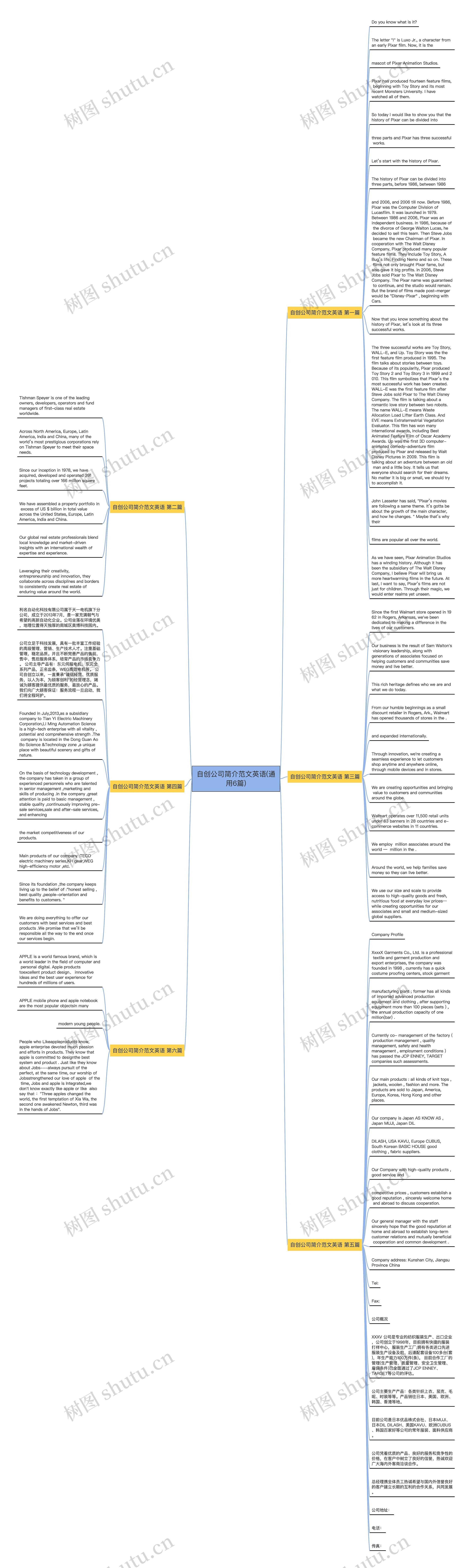 自创公司简介范文英语(通用6篇)思维导图