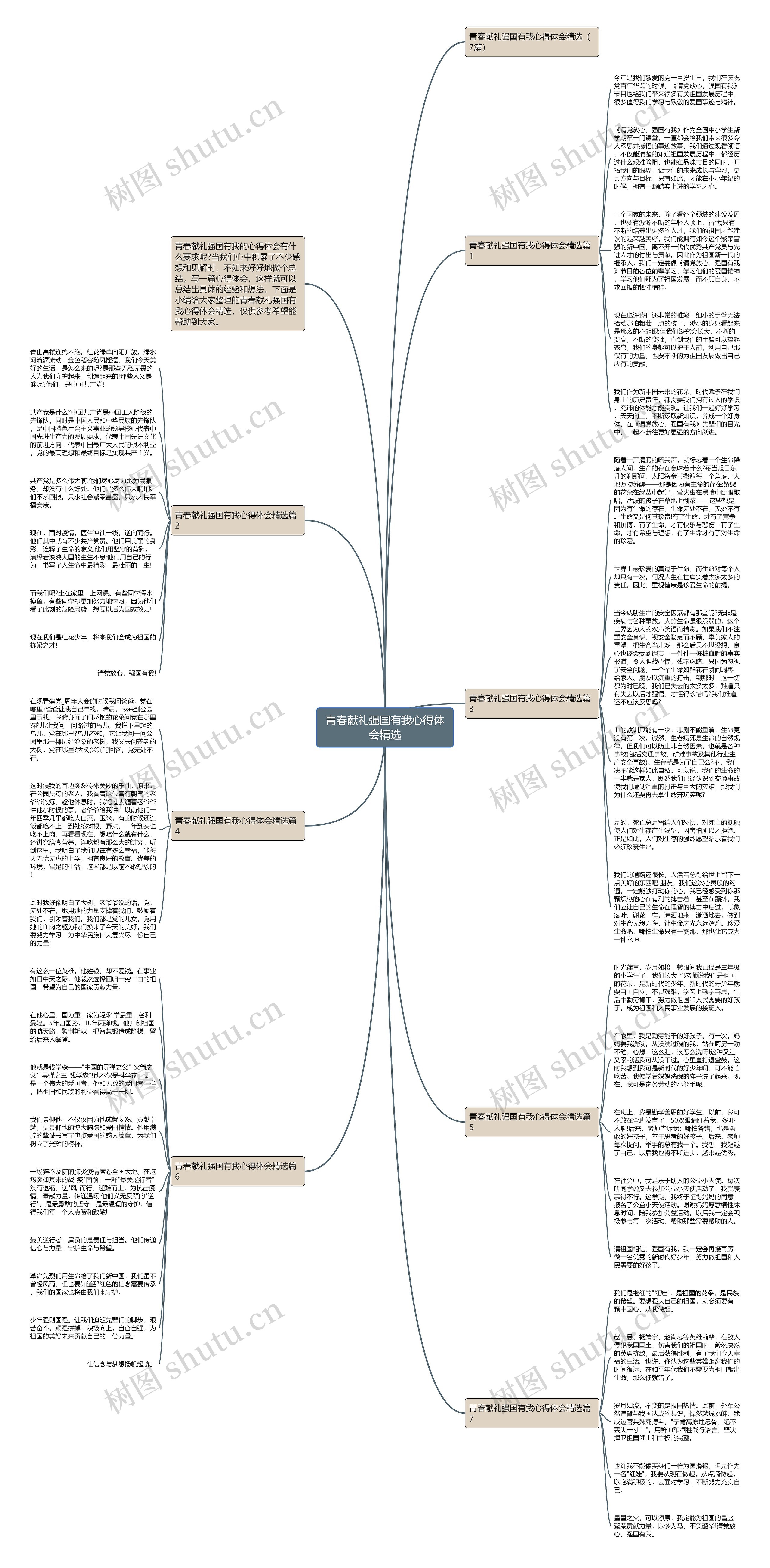 青春献礼强国有我心得体会精选思维导图