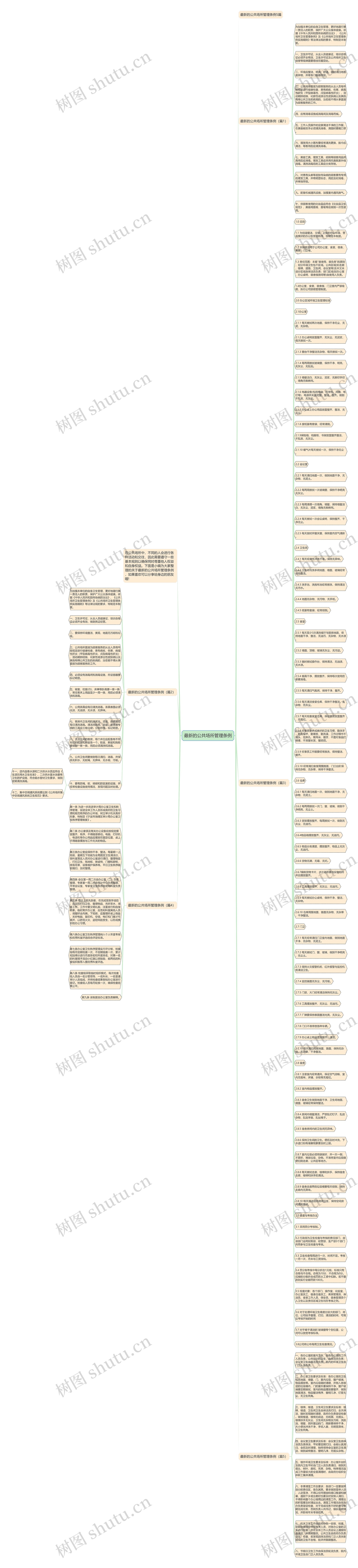 最新的公共场所管理条例思维导图