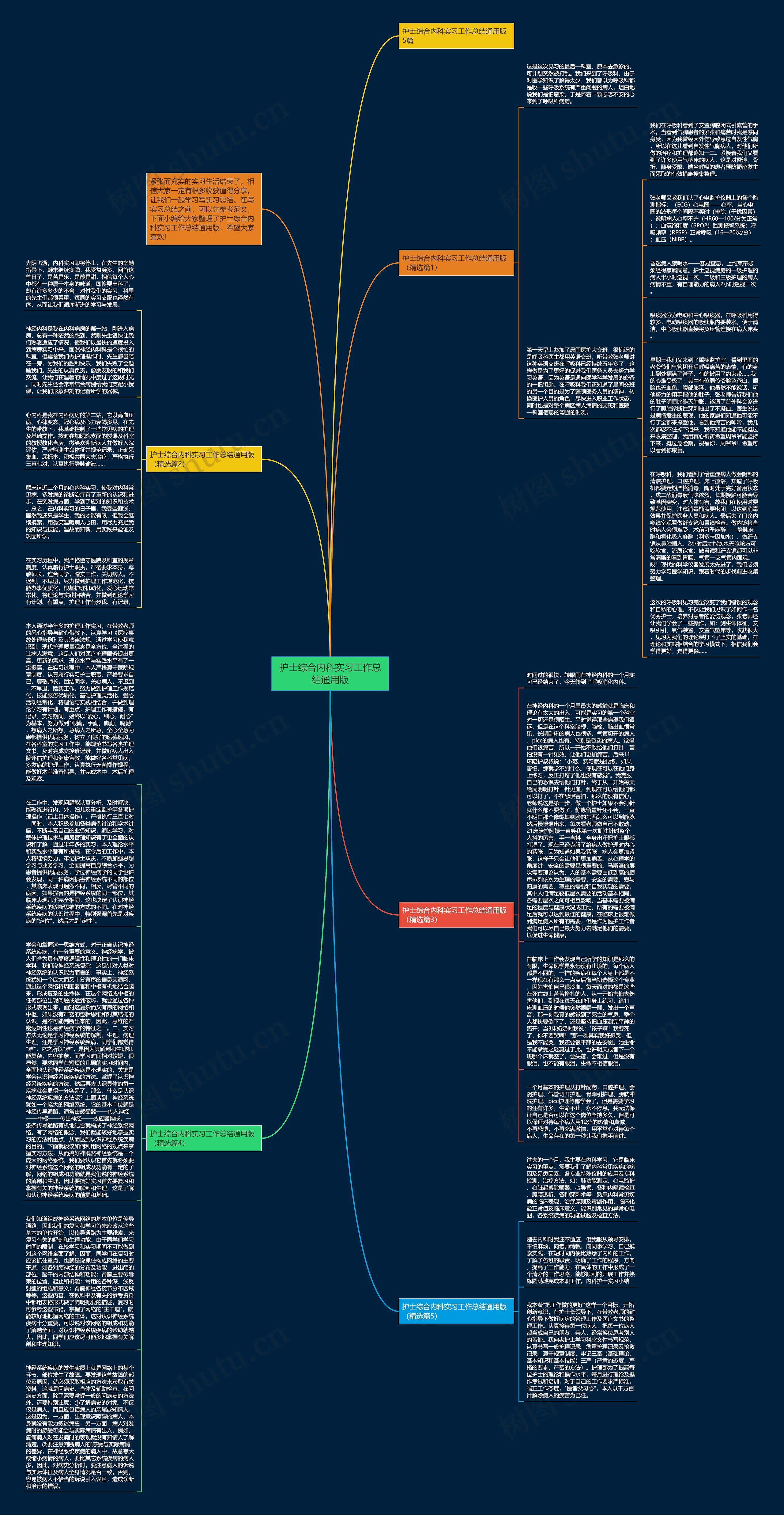 护士综合内科实习工作总结通用版思维导图