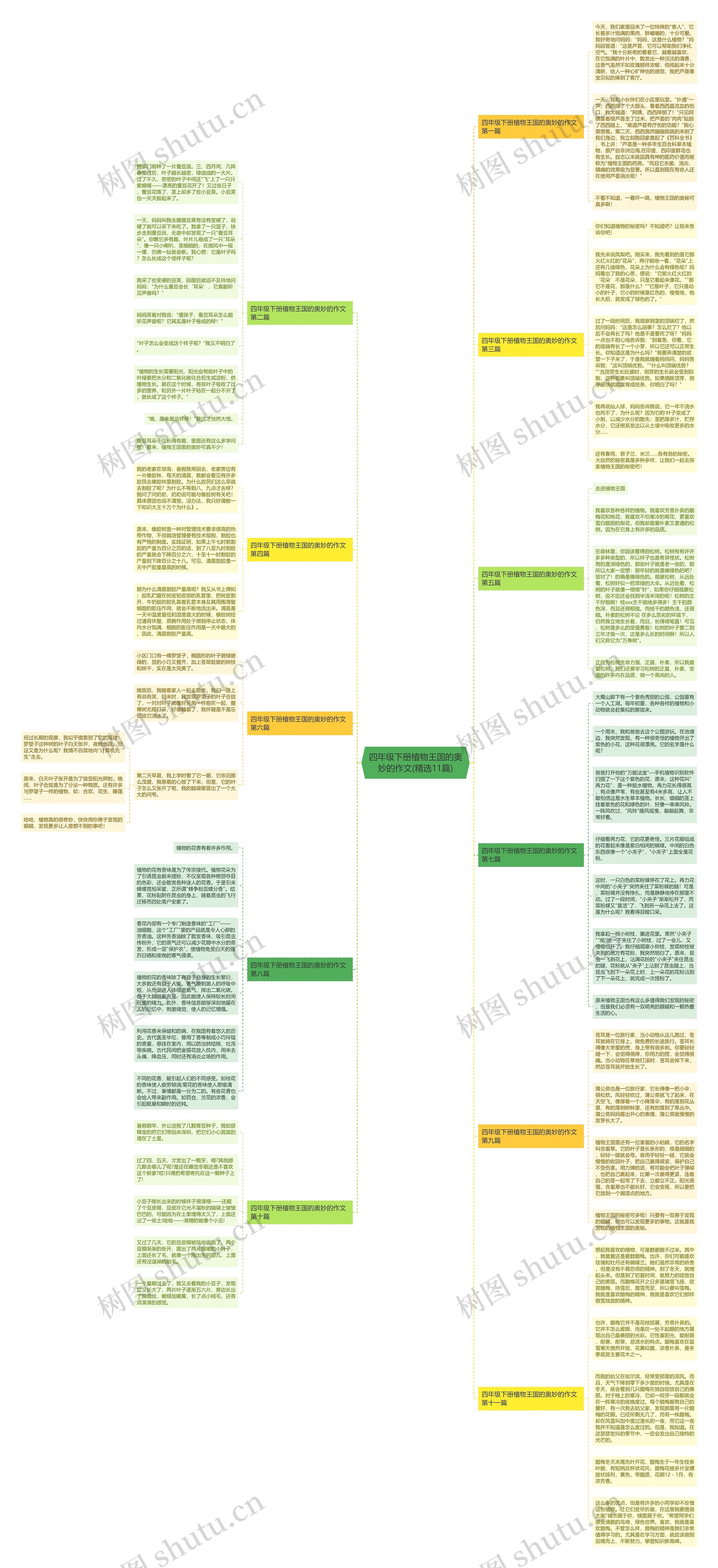 四年级下册植物王国的奥妙的作文(精选11篇)思维导图高清图 四年级下册植物王国的奥妙的作文(精选11篇)思维导图