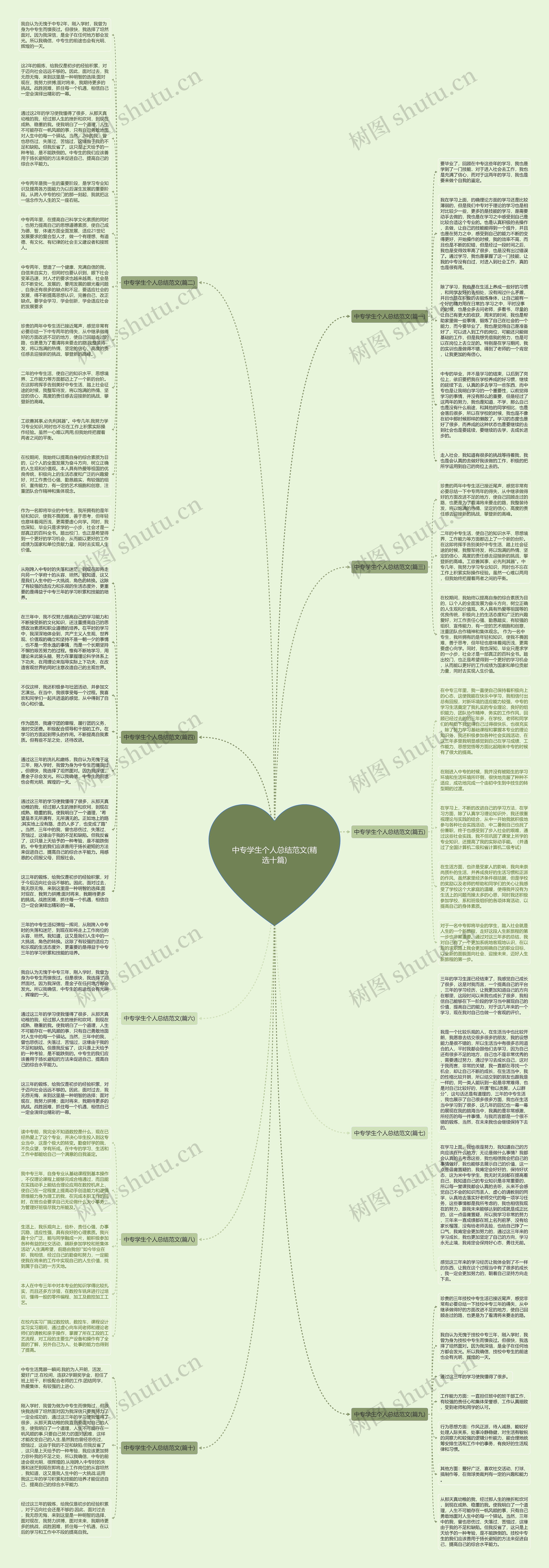 中专学生个人总结范文(精选十篇)思维导图