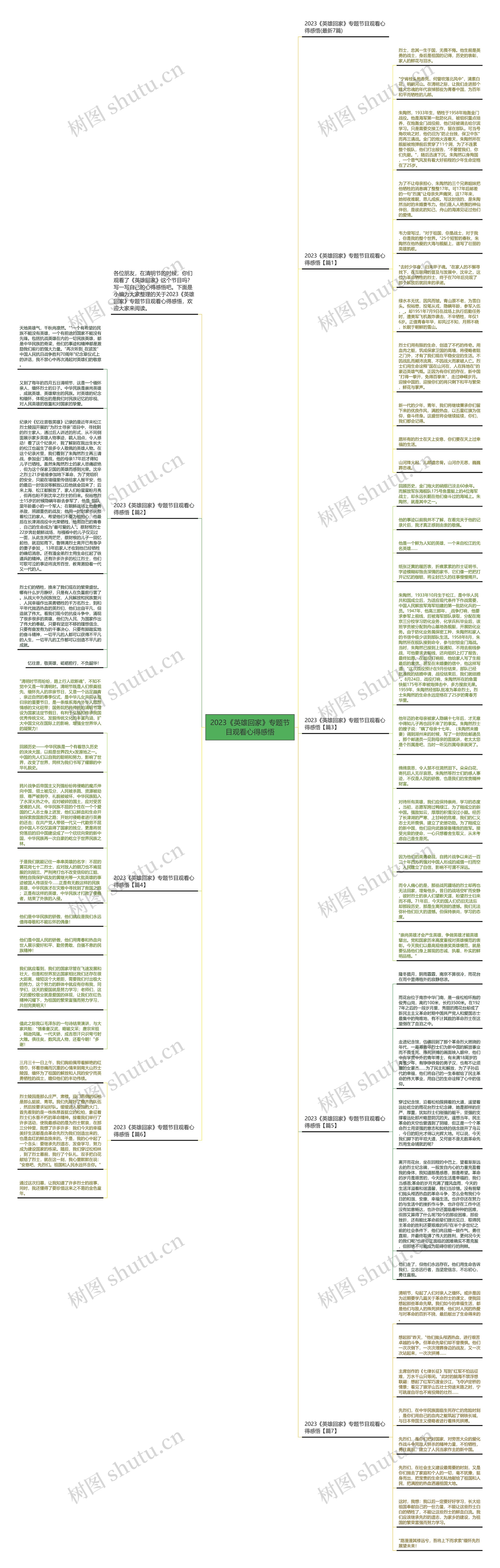 2023《英雄回家》专题节目观看心得感悟思维导图