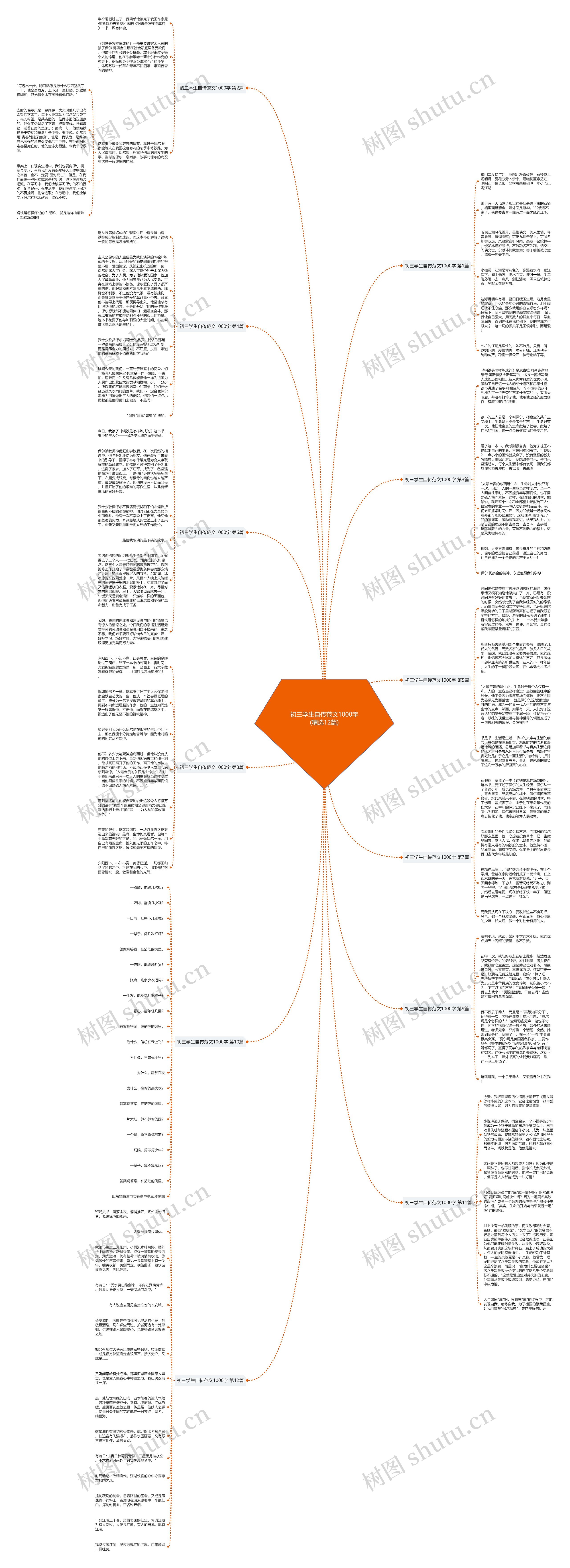 初三学生自传范文1000字(精选12篇)思维导图