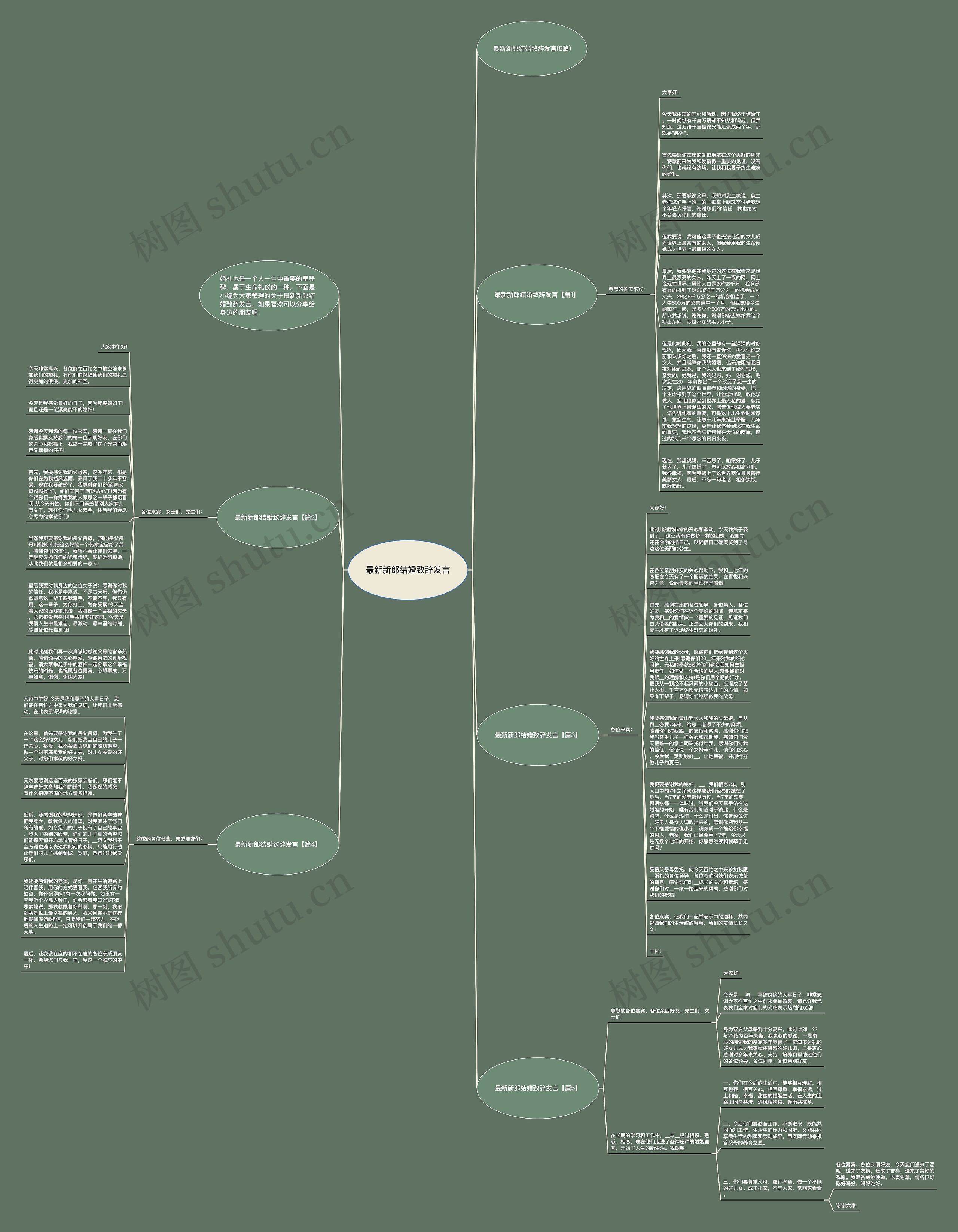 最新新郎结婚致辞发言思维导图