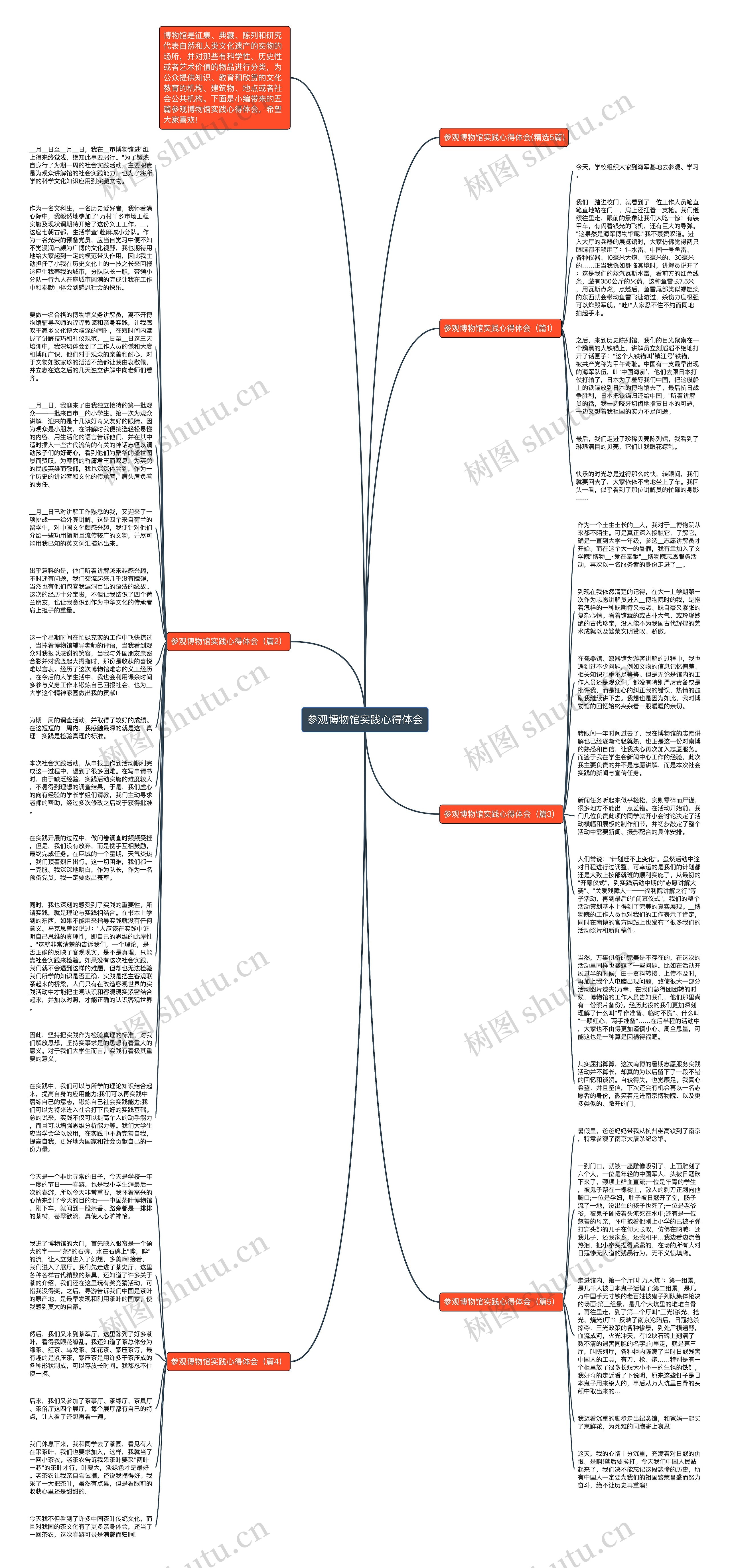 参观博物馆实践心得体会思维导图
