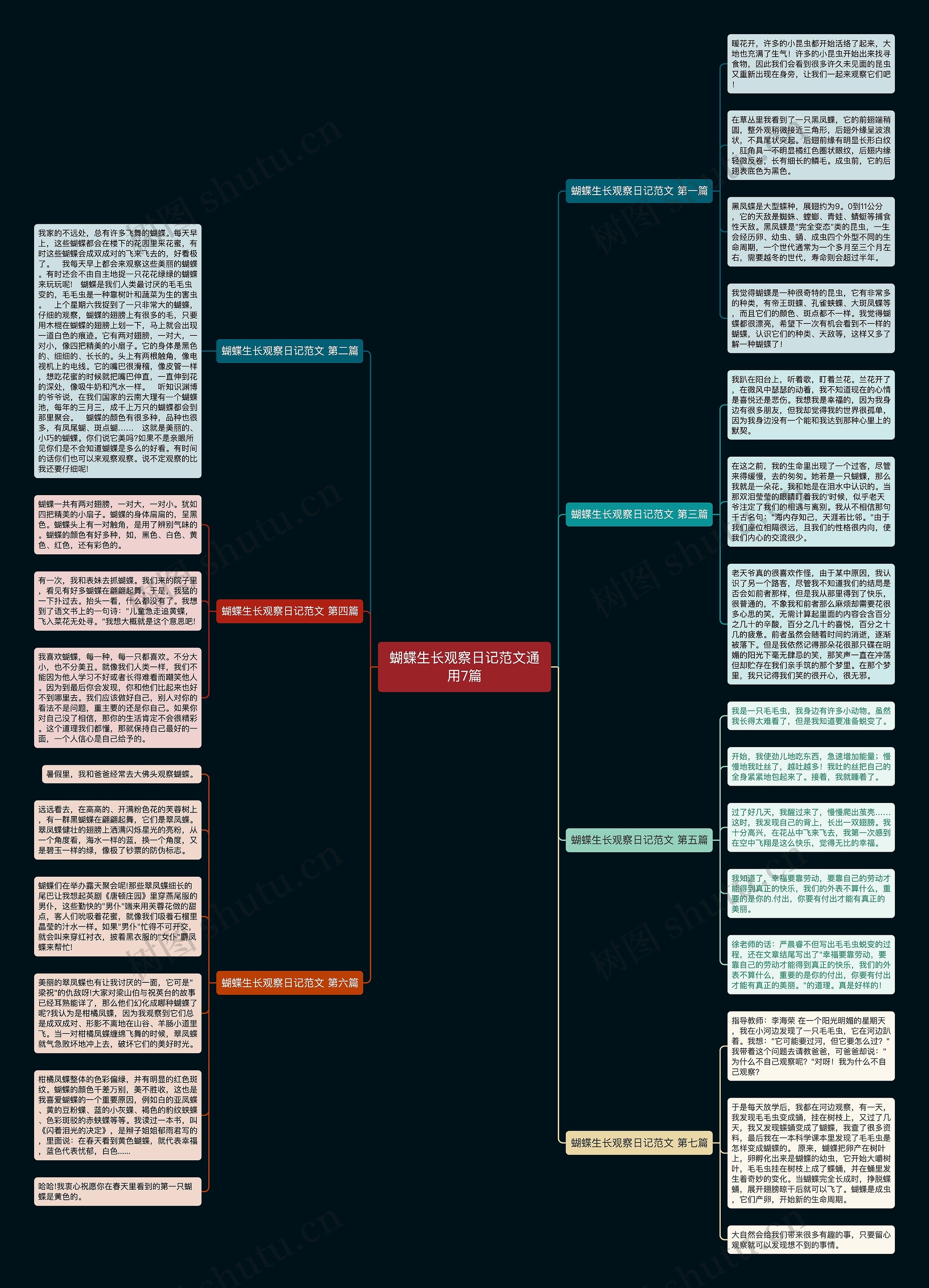 蝴蝶生长观察日记范文通用7篇思维导图