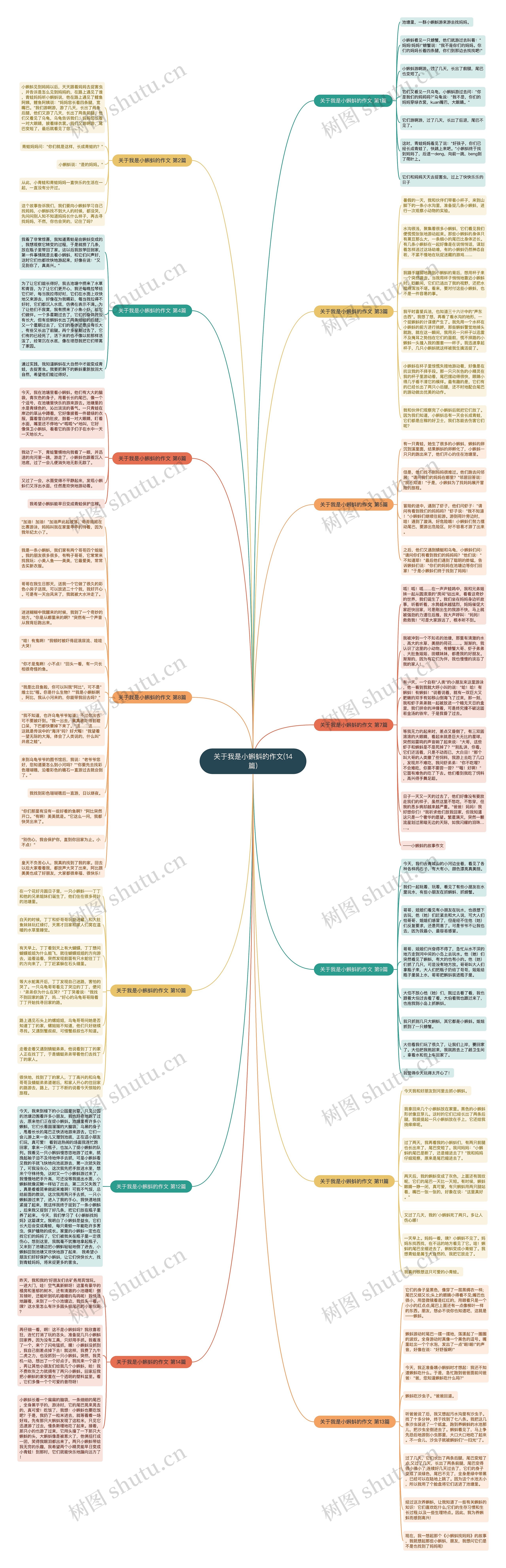 关于我是小蝌蚪的作文(14篇)思维导图